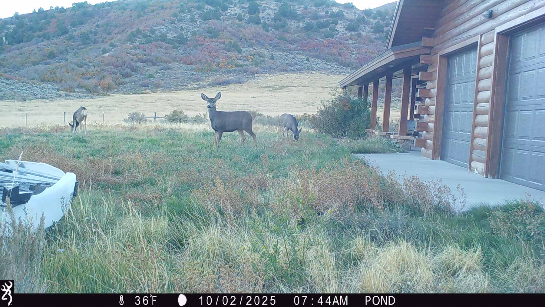 Hogback Hunting Ranch property picture 63 of 87