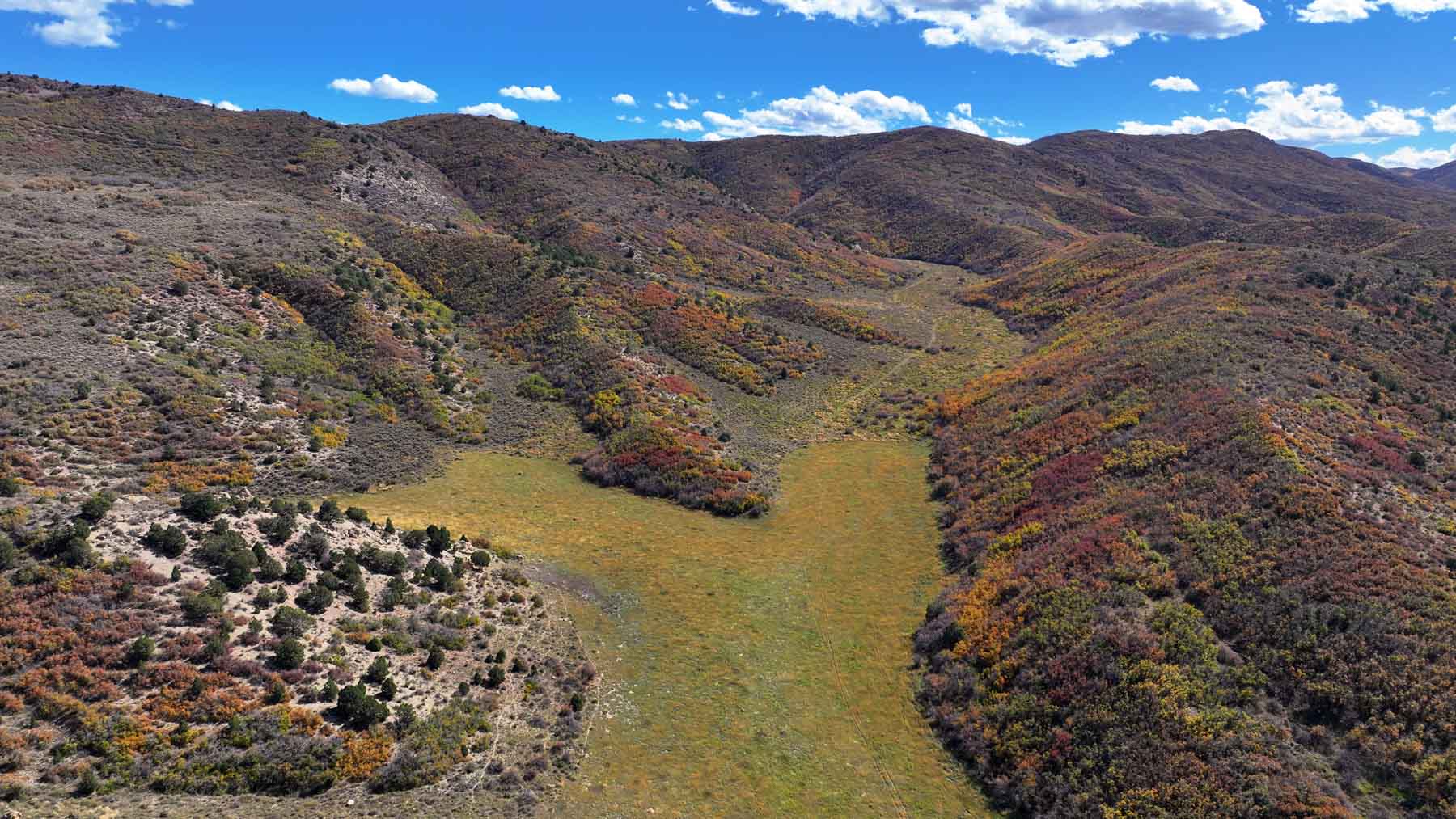 Hogback Hunting Ranch property picture 22 of 87