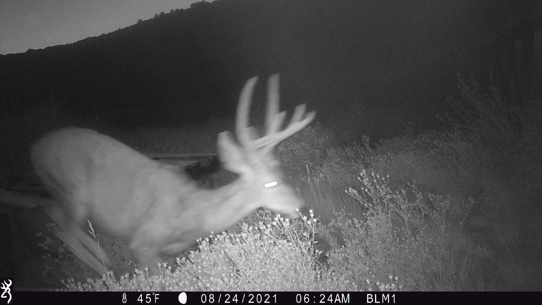 Hogback Hunting Ranch property picture 80 of 87
