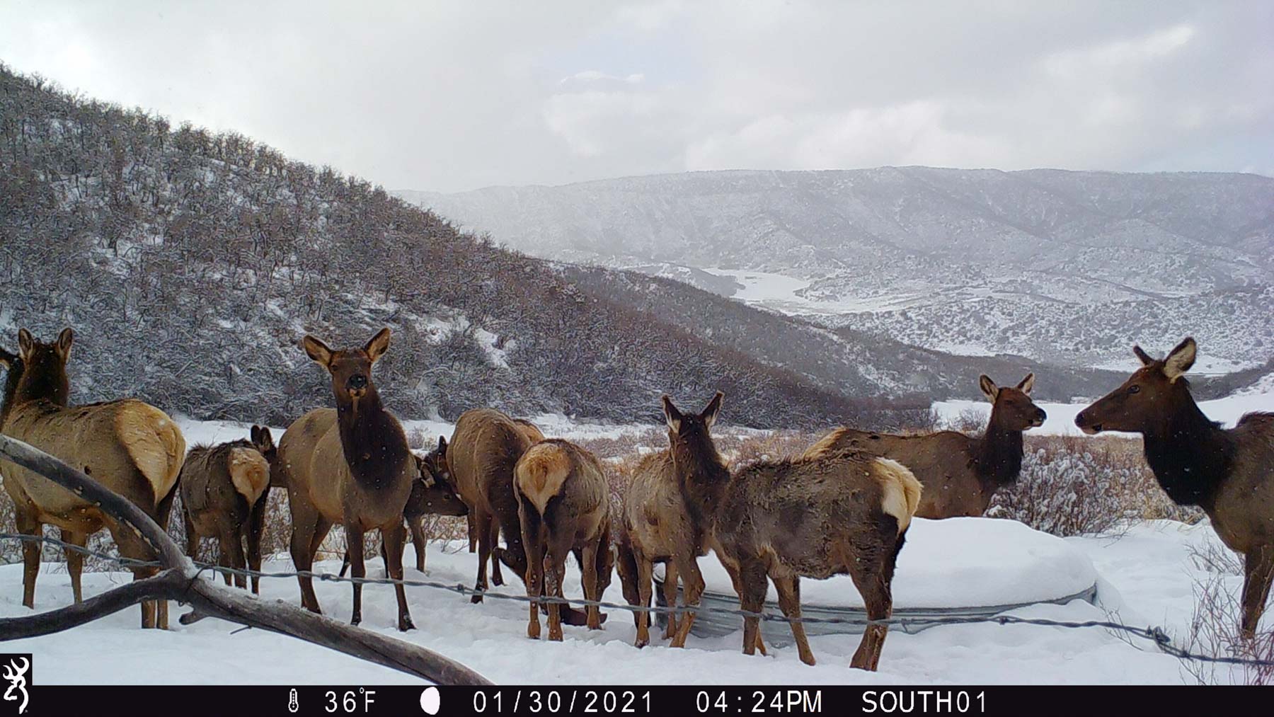 Hogback Hunting Ranch property picture 78 of 87