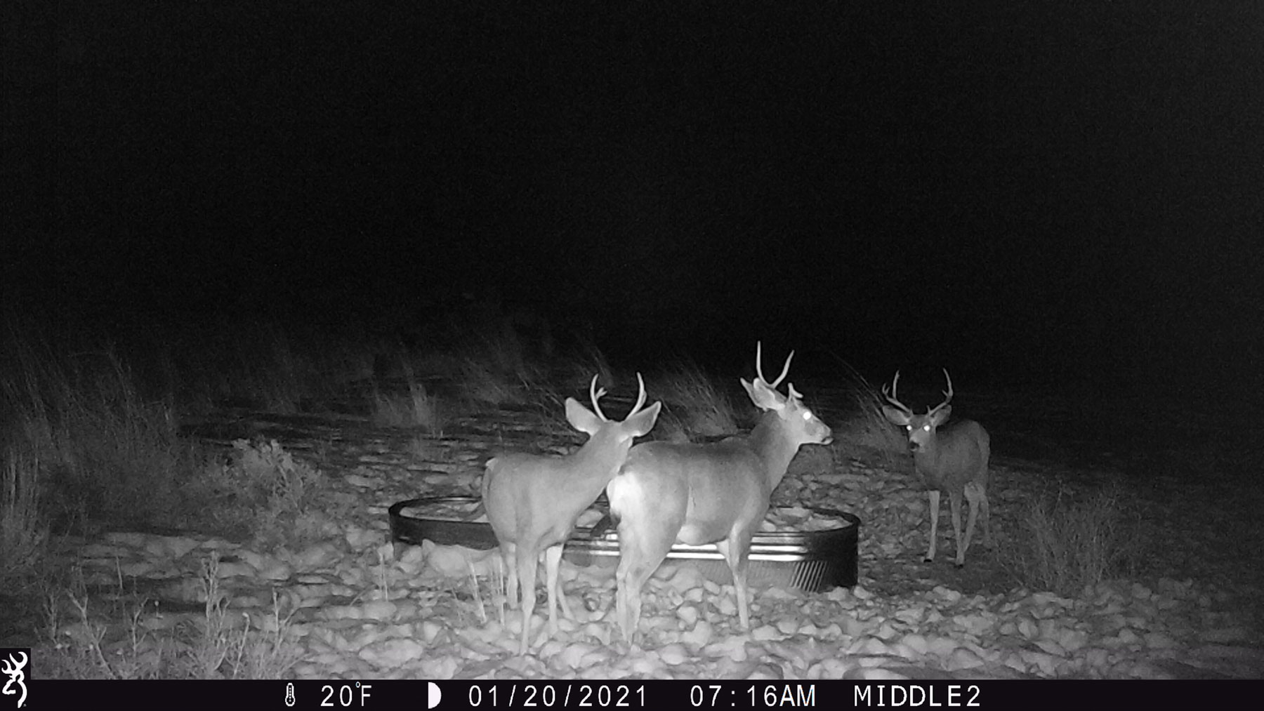 Hogback Hunting Ranch property picture 83 of 87