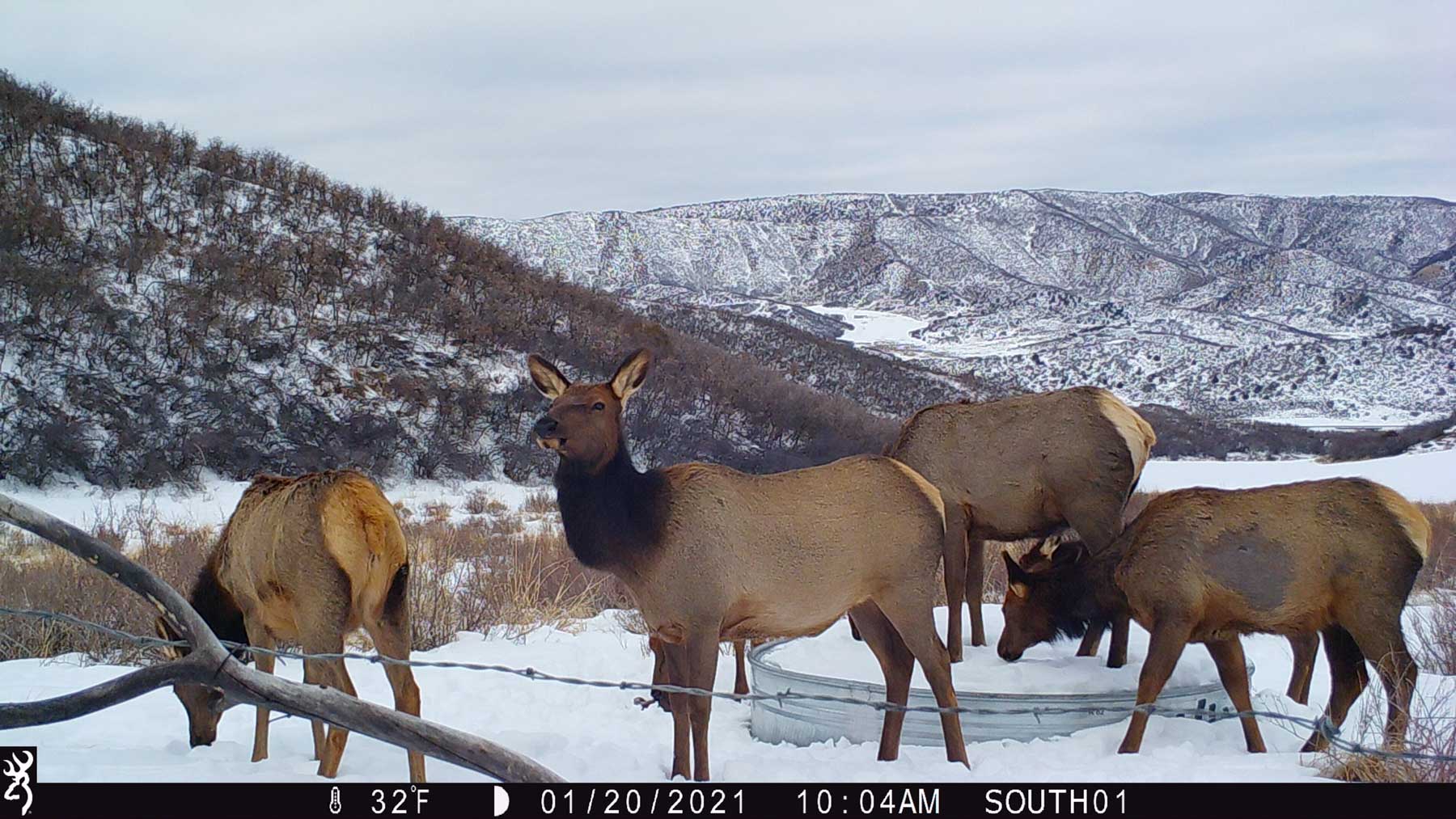 Hogback Hunting Ranch property picture 36 of 87