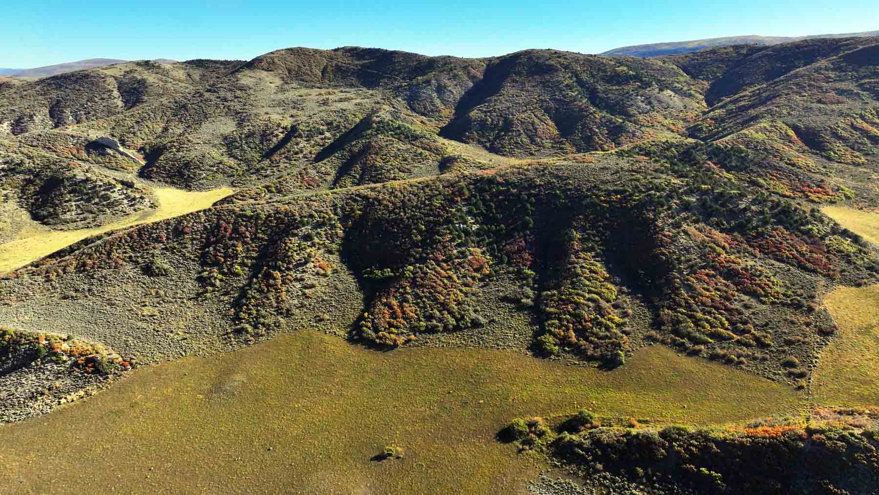Hogback Hunting Ranch property picture 18 of 87