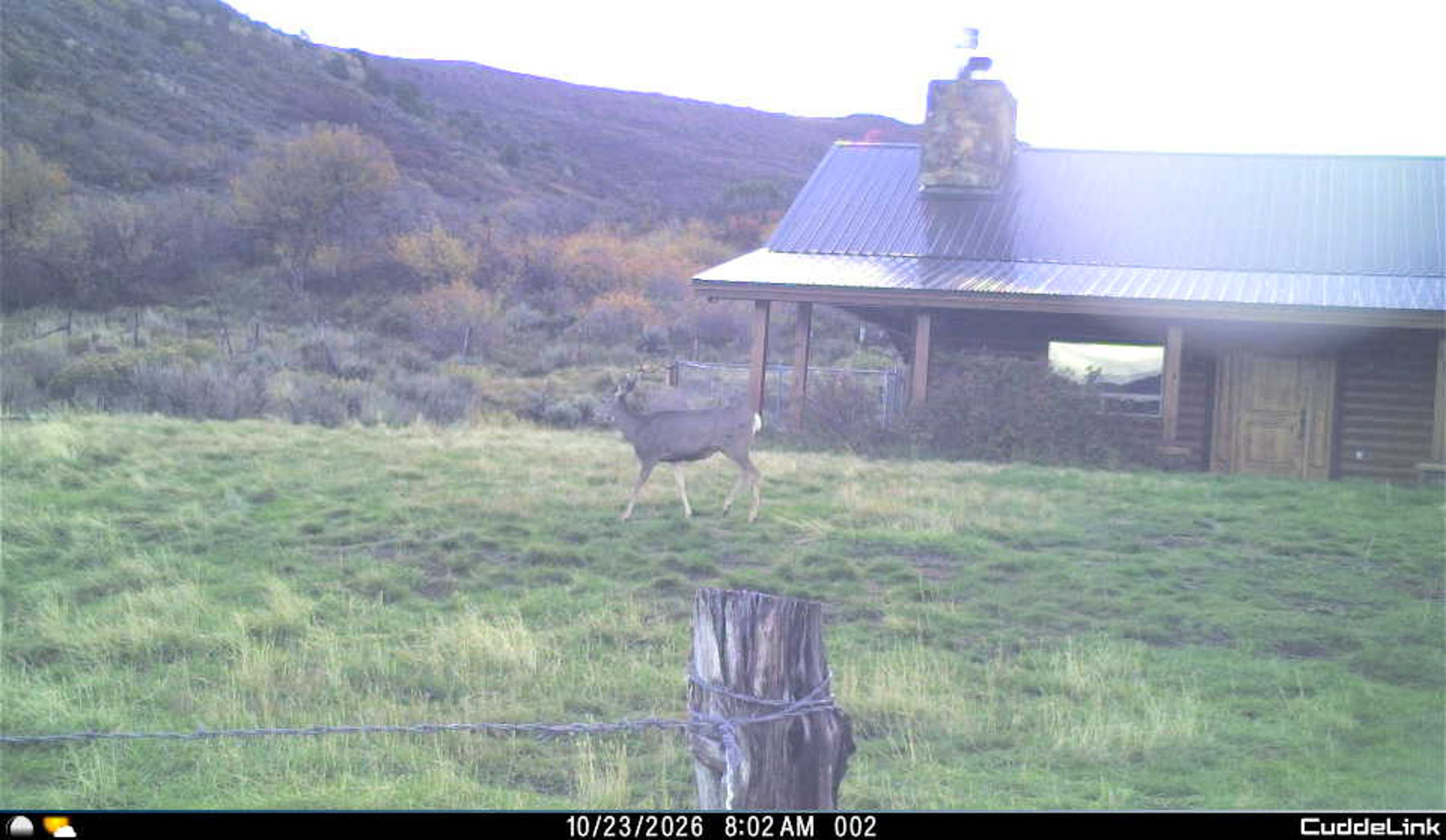 Hogback Hunting Ranch property picture 62 of 87