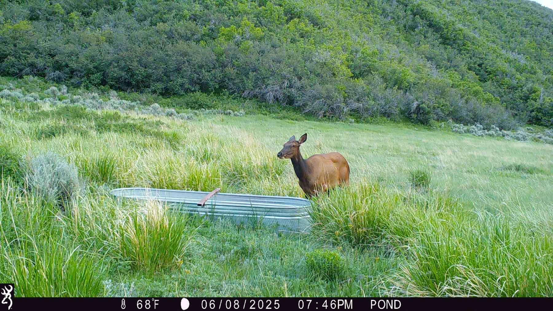 Hogback Hunting Ranch property picture 66 of 87