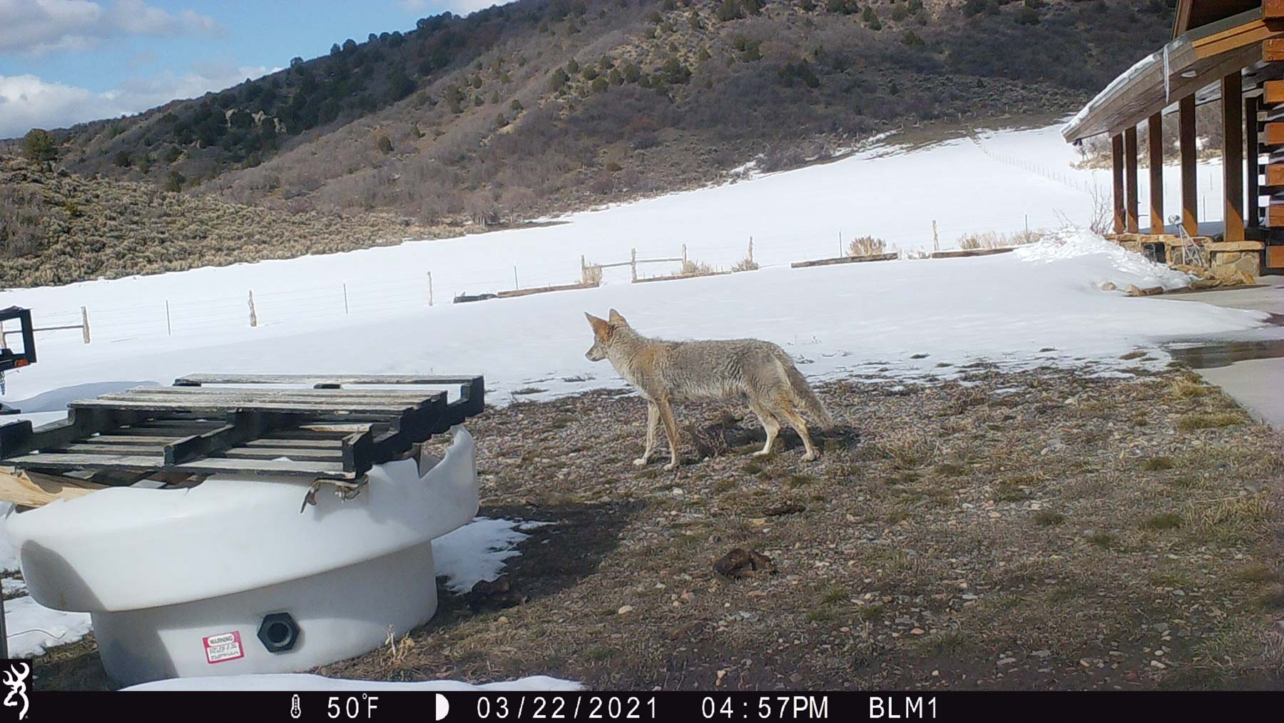 Hogback Hunting Ranch property picture 69 of 87