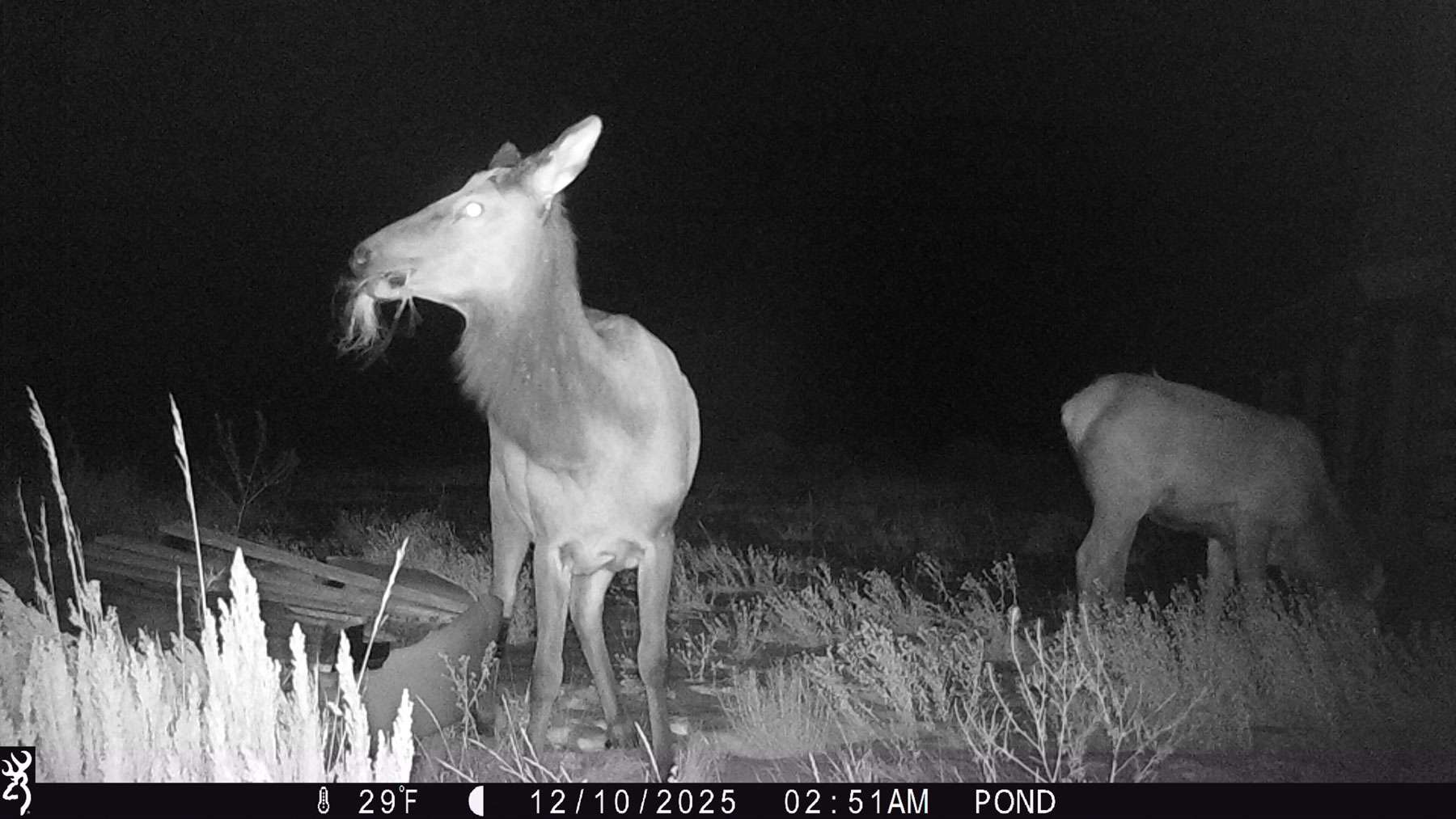 Hogback Hunting Ranch property picture 77 of 87