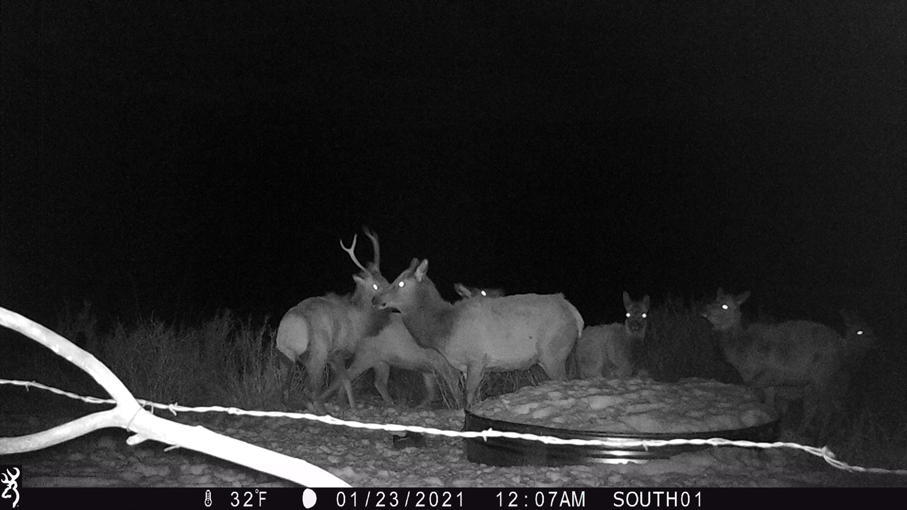 Hogback Hunting Ranch property picture 42 of 87