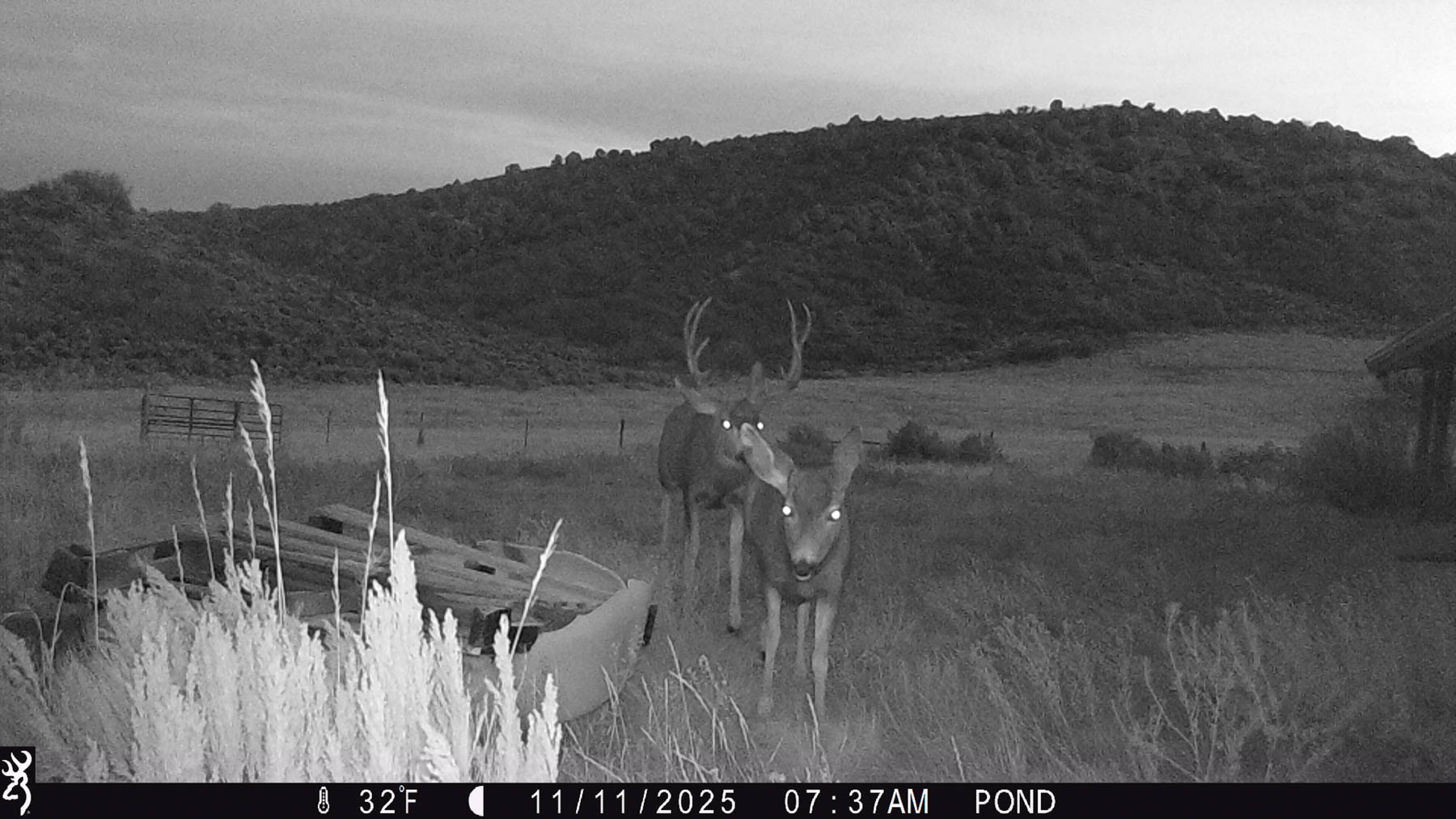 Hogback Hunting Ranch property picture 37 of 87