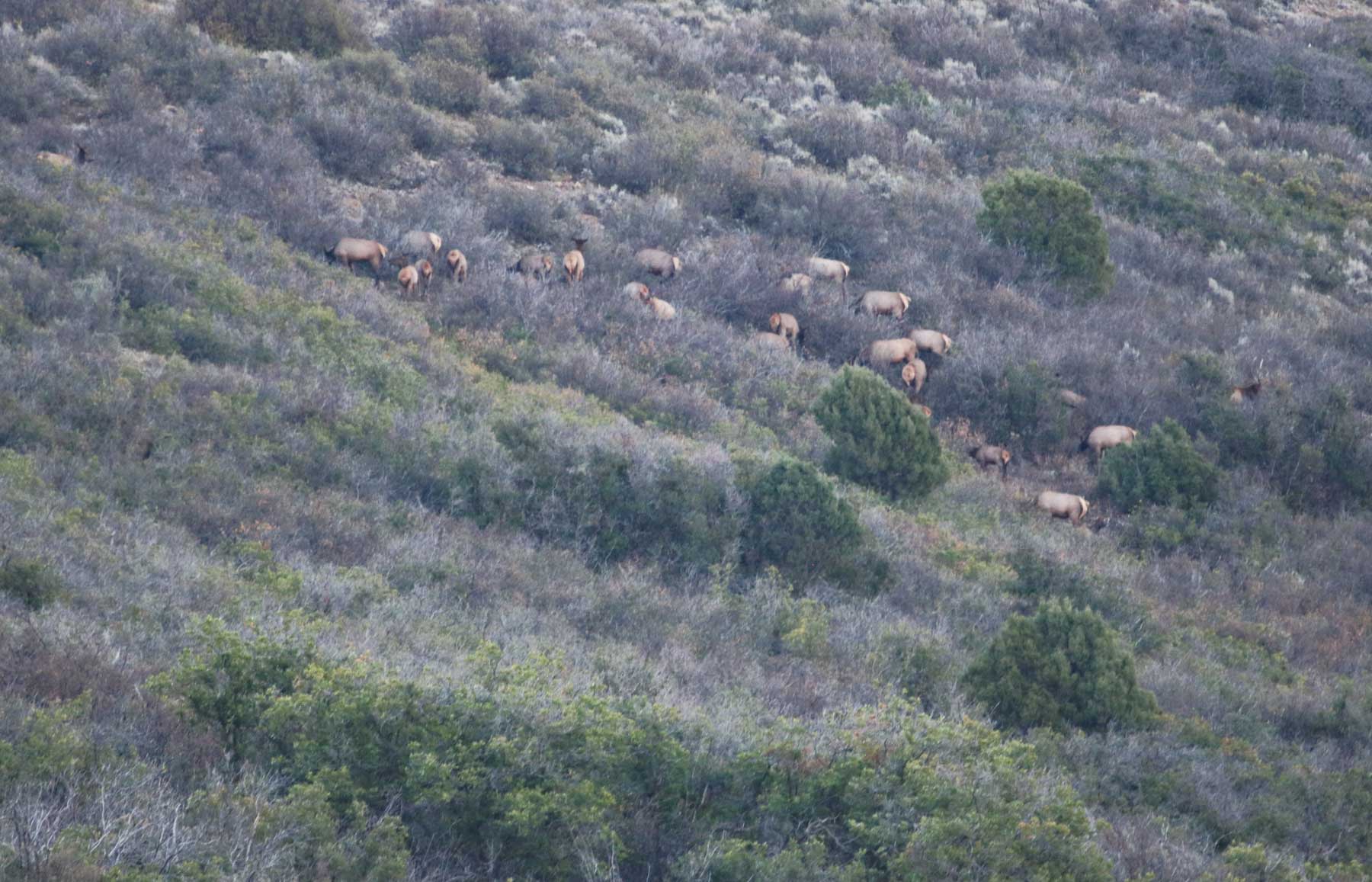 Hogback Hunting Ranch property picture 35 of 87