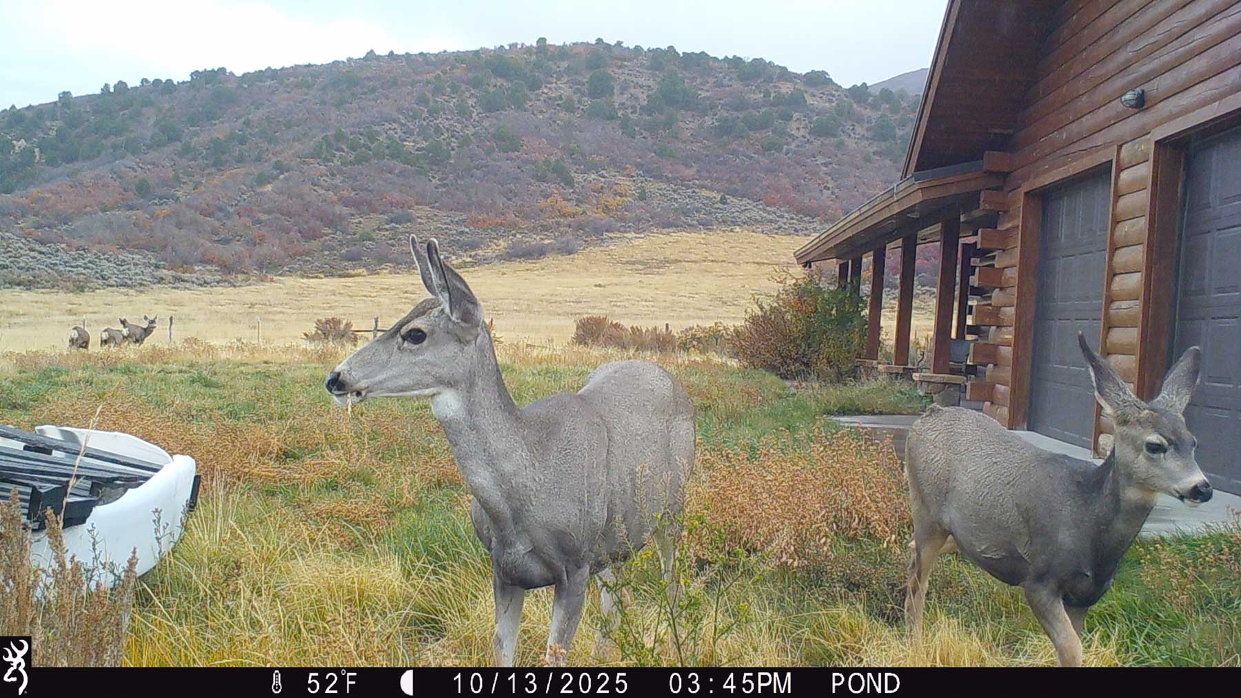 Hogback Hunting Ranch property picture 68 of 87