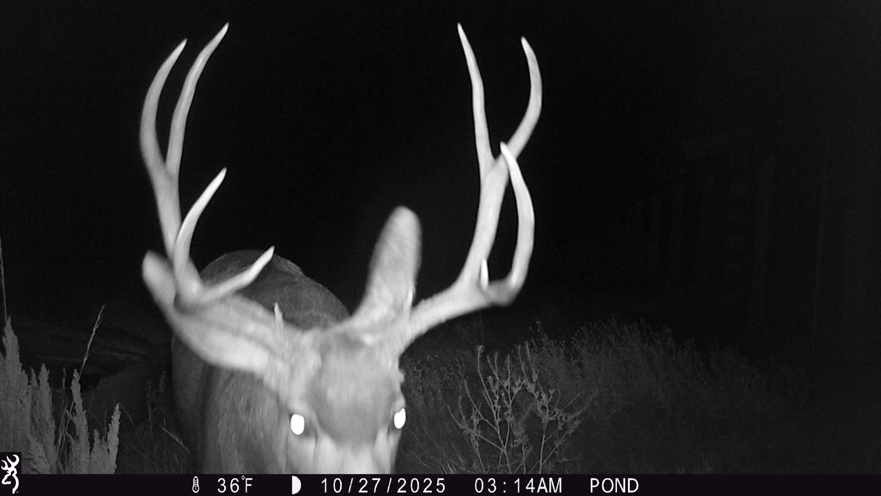 Hogback Hunting Ranch property picture 71 of 87