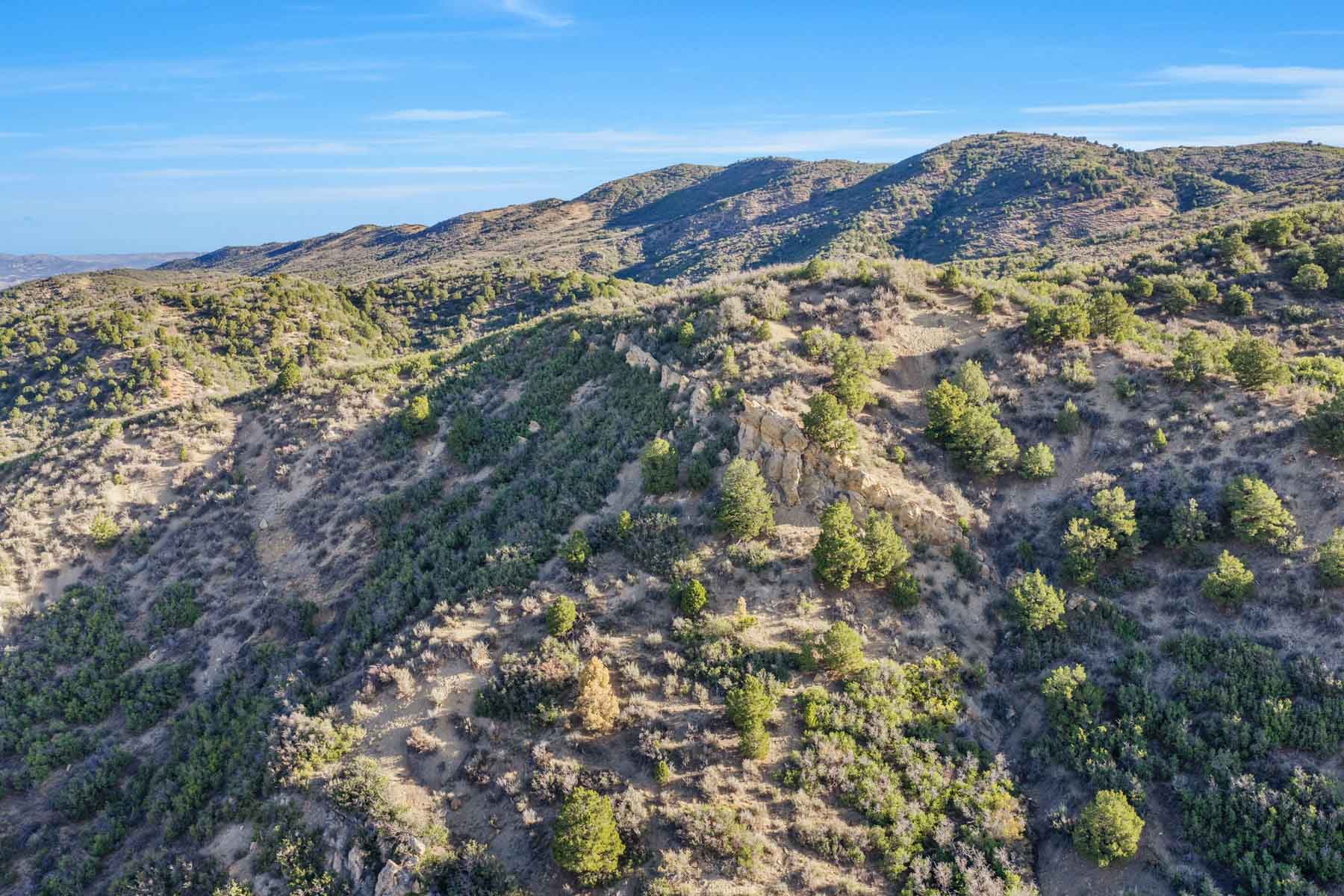 Hogback Hunting Ranch property picture 26 of 87