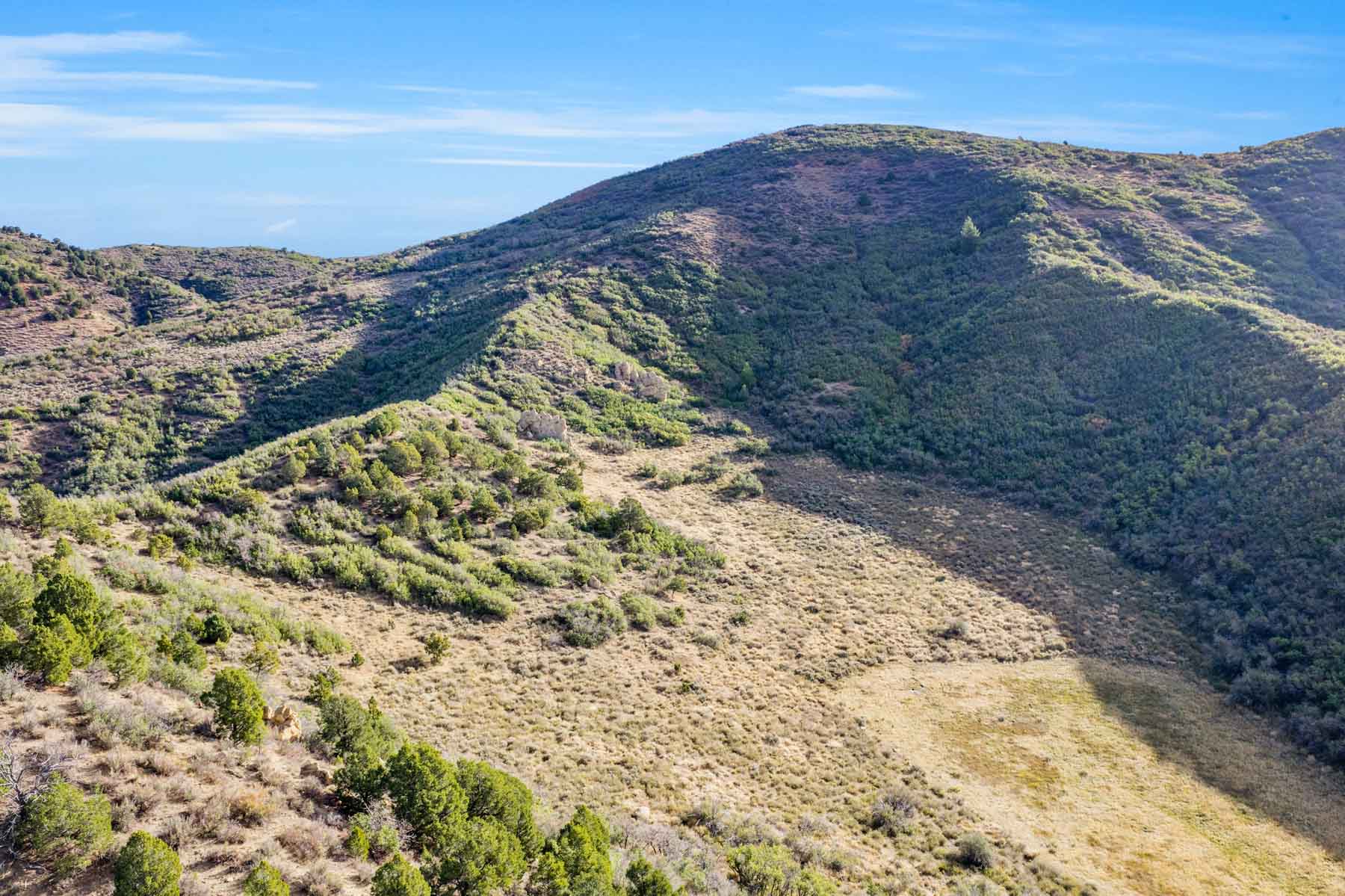 Hogback Hunting Ranch property picture 28 of 87