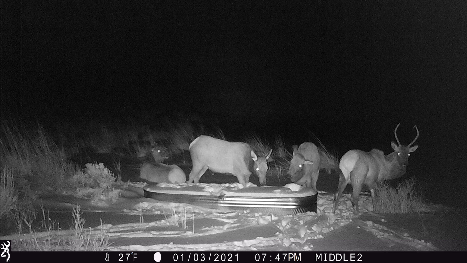 Hogback Hunting Ranch property picture 65 of 87
