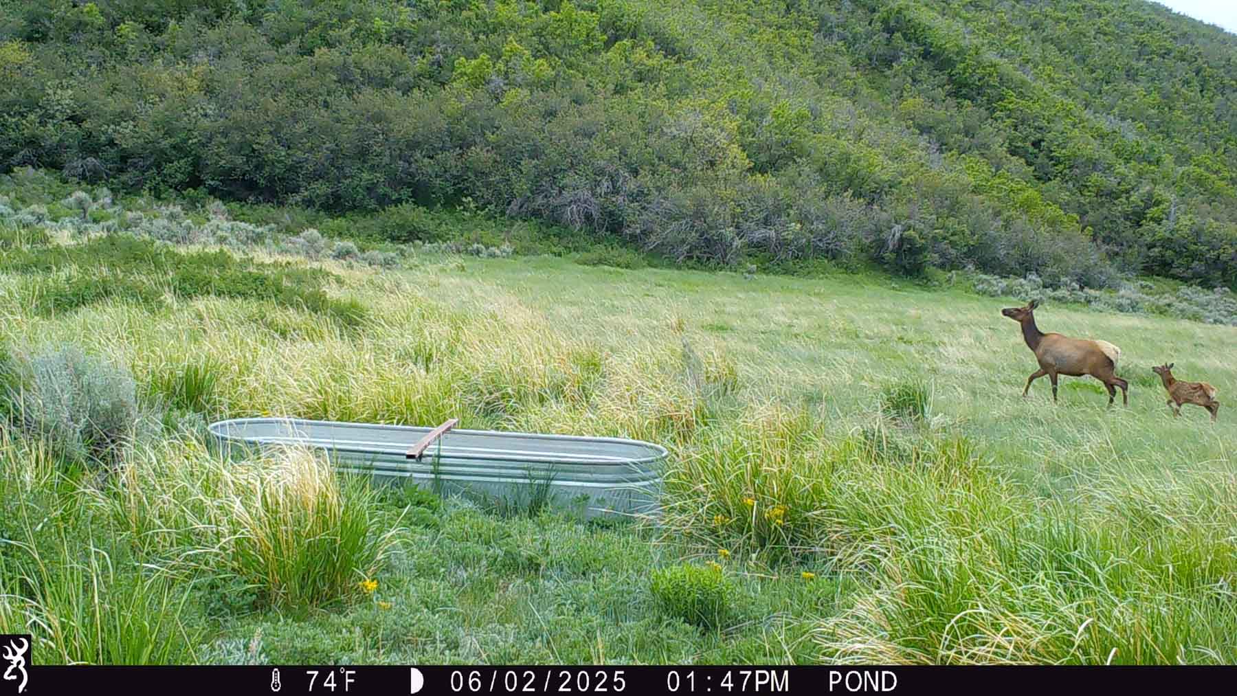 Hogback Hunting Ranch property picture 60 of 87