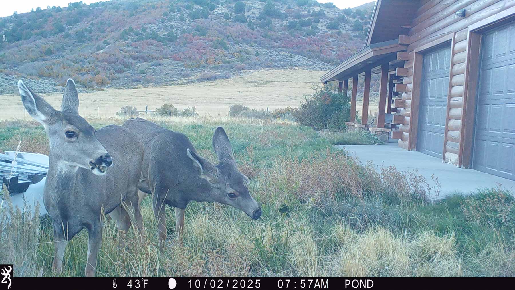 Hogback Hunting Ranch property picture 64 of 87