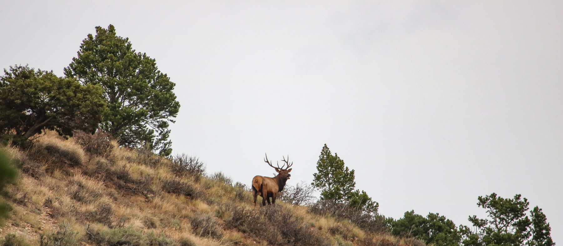 Hogback Hunting Ranch property picture 4 of 87