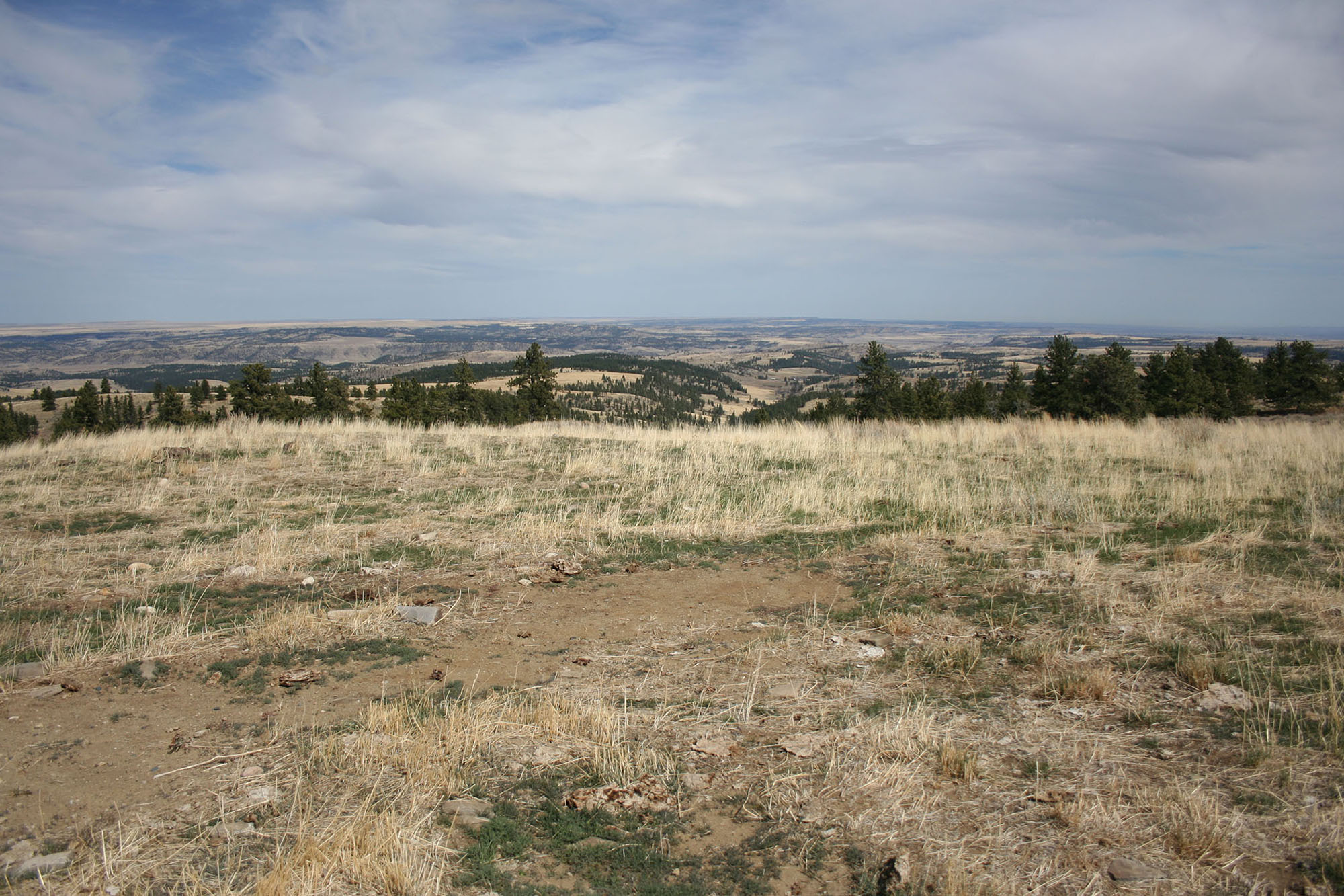 Shane Ridge Preserve property picture 56 of 59