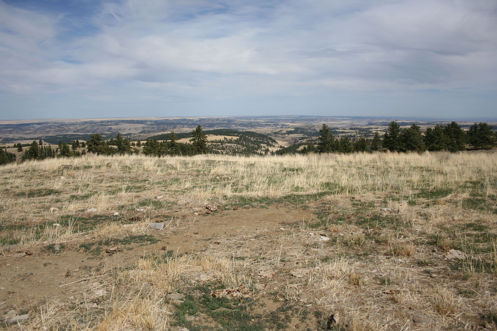 Shane Ridge Preserve property picture 55 of 59
