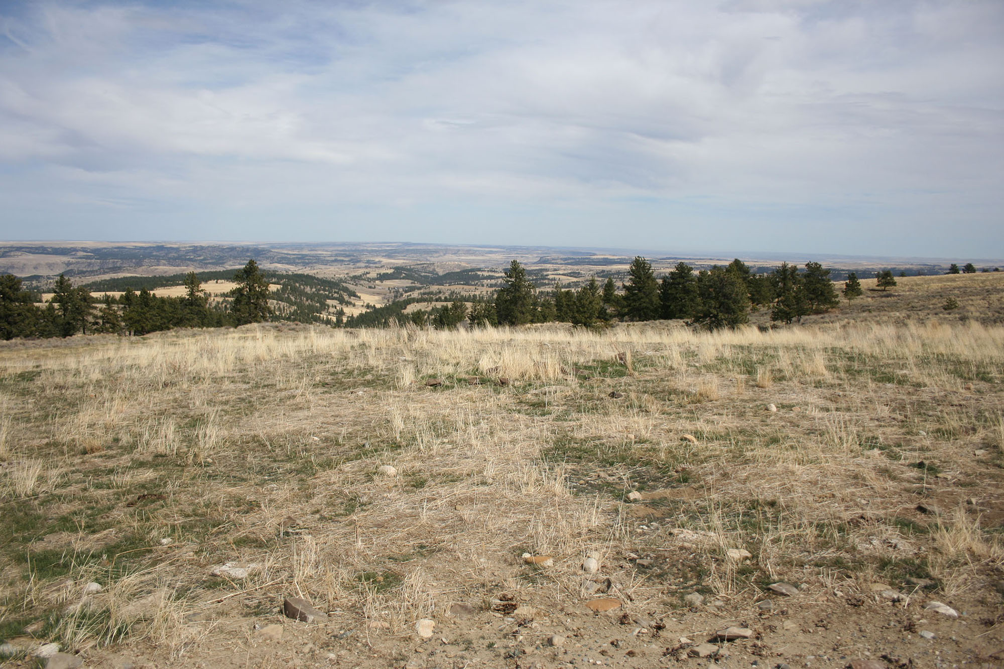 Shane Ridge Preserve property picture 54 of 59