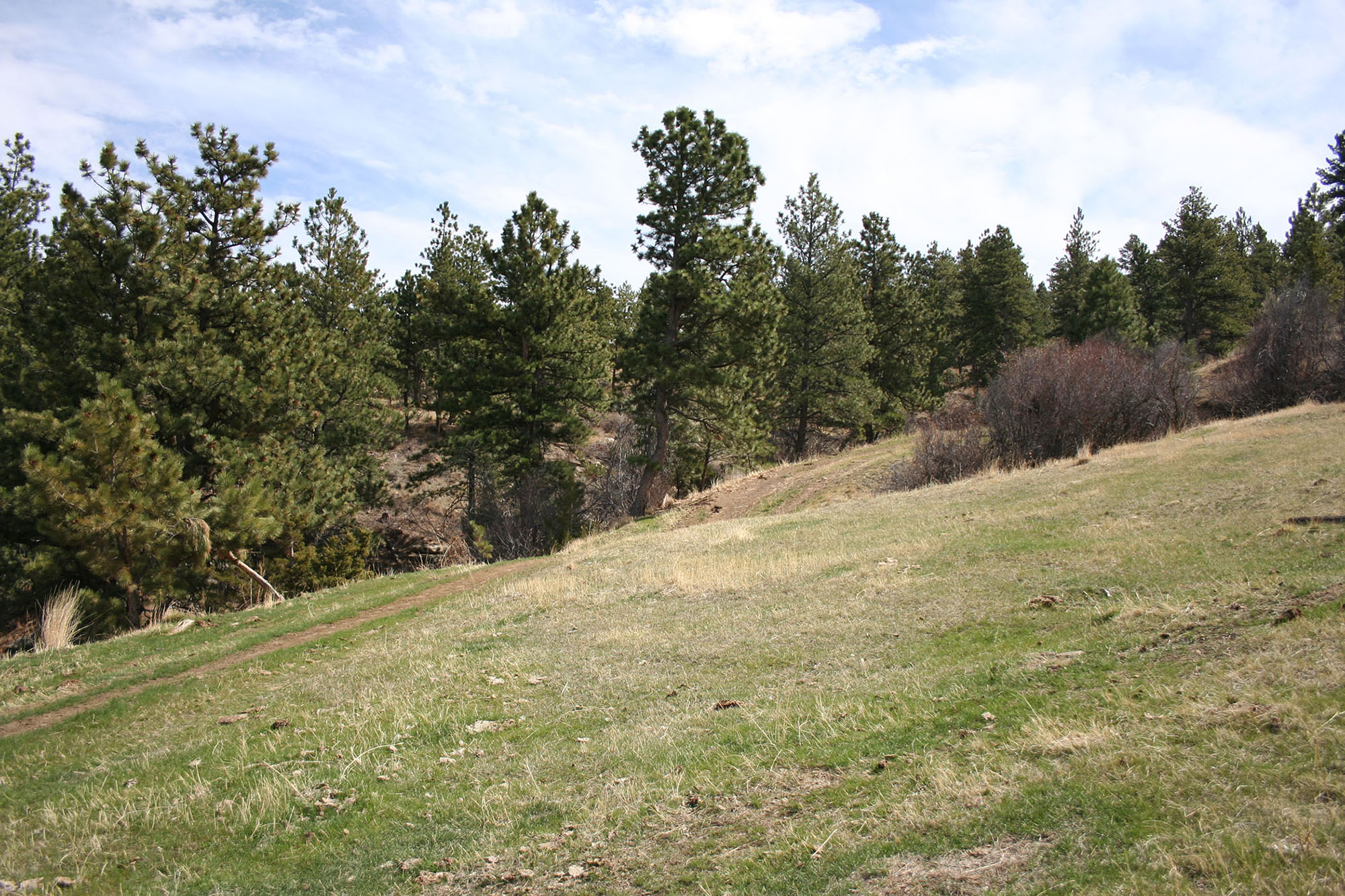 Shane Ridge Preserve property picture 53 of 59