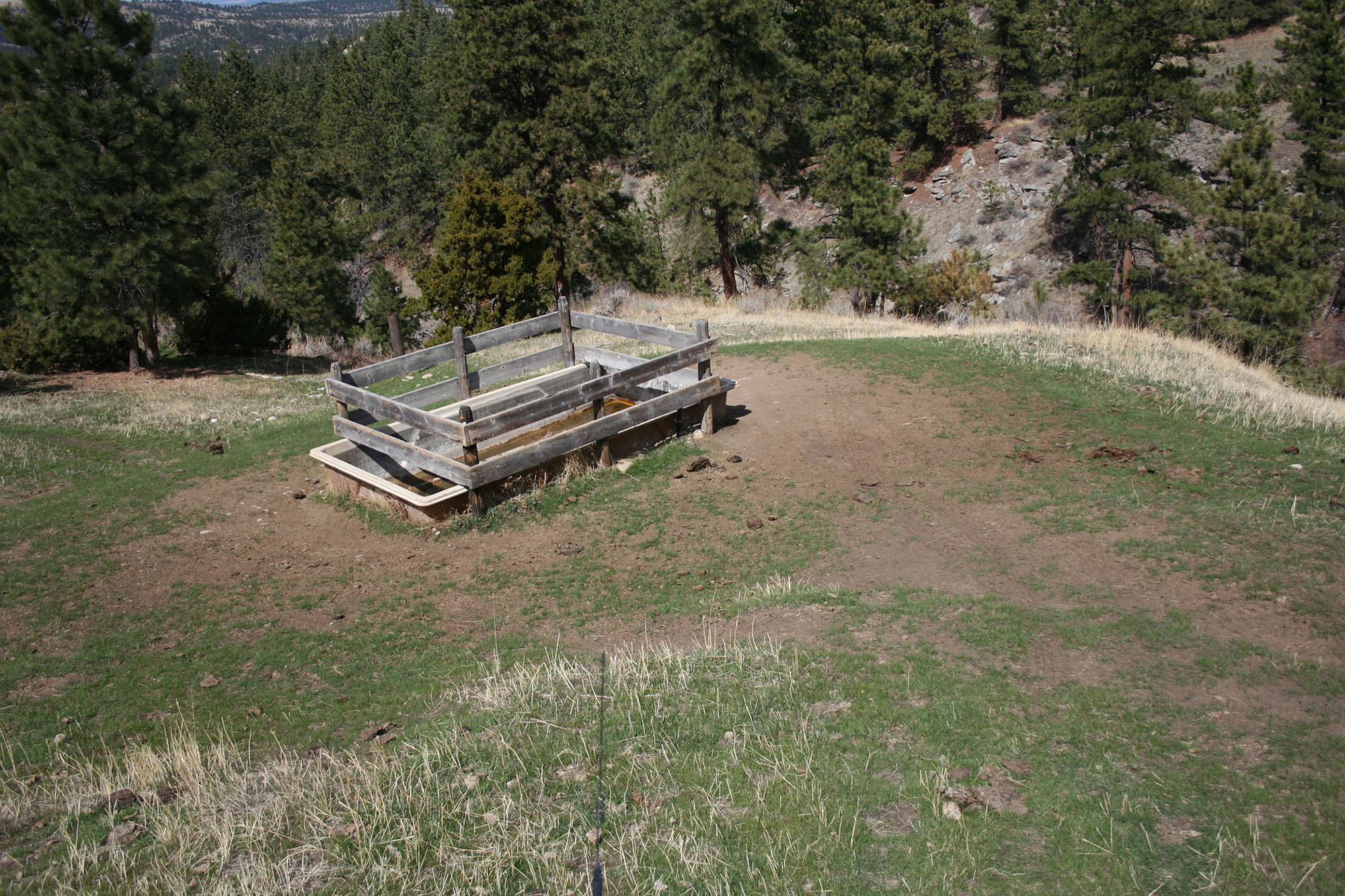 Shane Ridge Preserve property picture 52 of 59