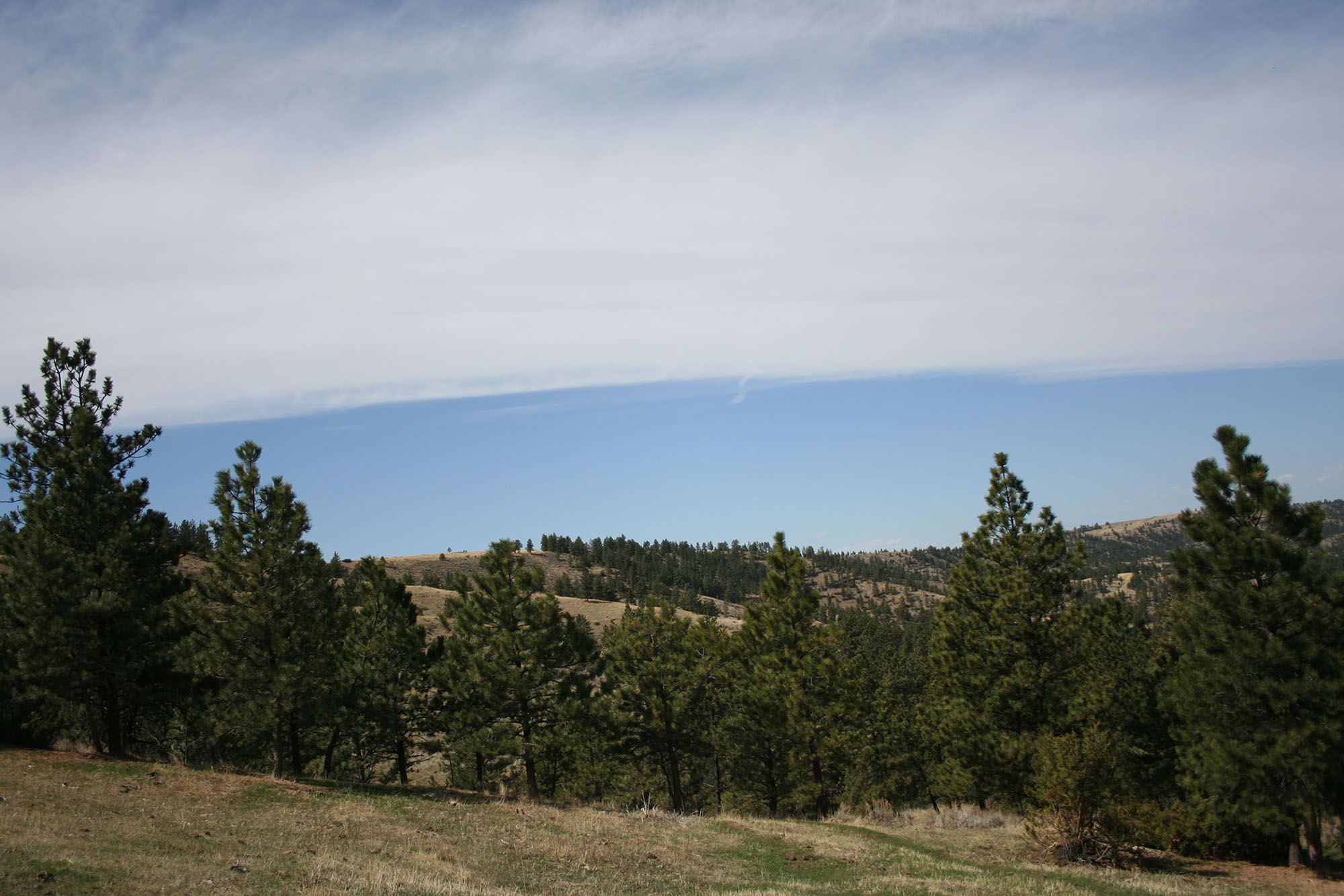 Shane Ridge Preserve property picture 51 of 59