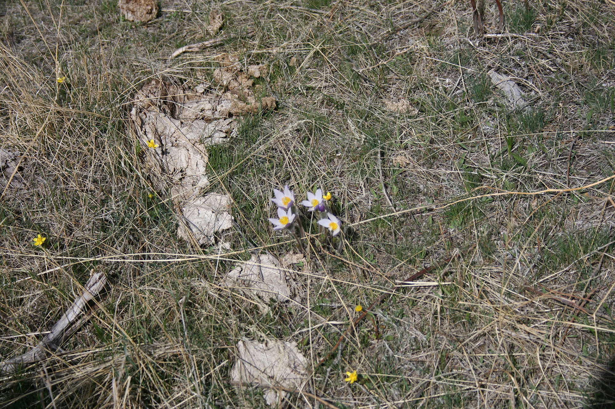 Shane Ridge Preserve property picture 48 of 59