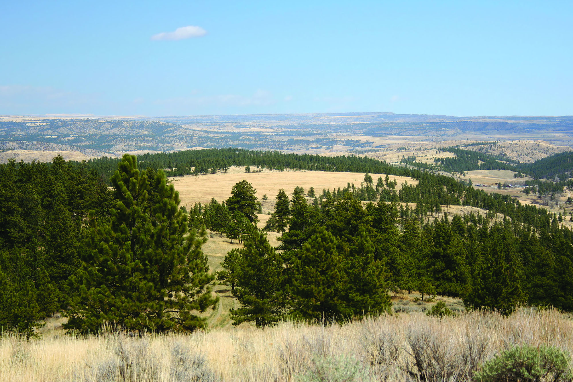 Shane Ridge Preserve property picture 47 of 59