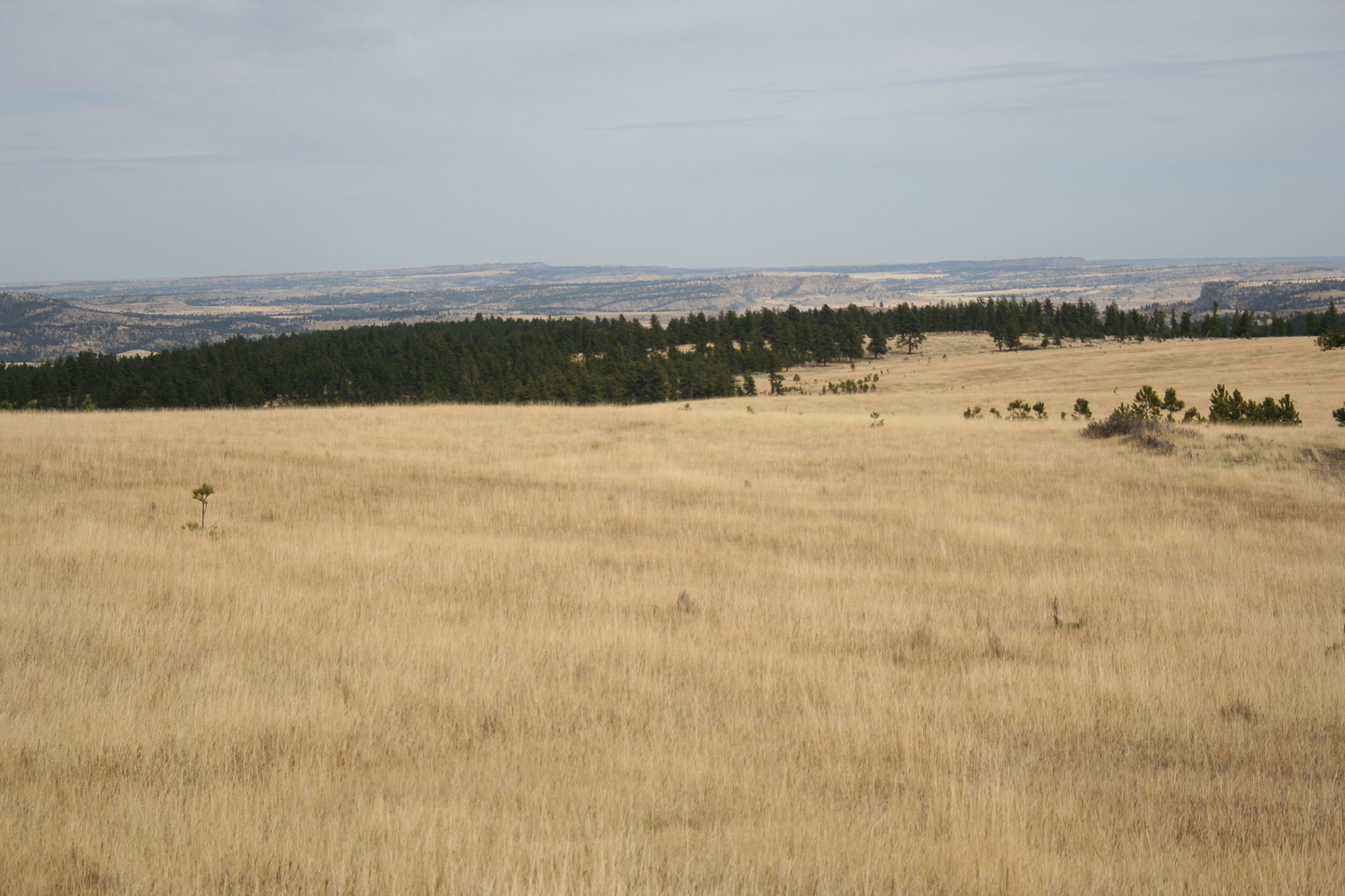 Shane Ridge Preserve property picture 44 of 59