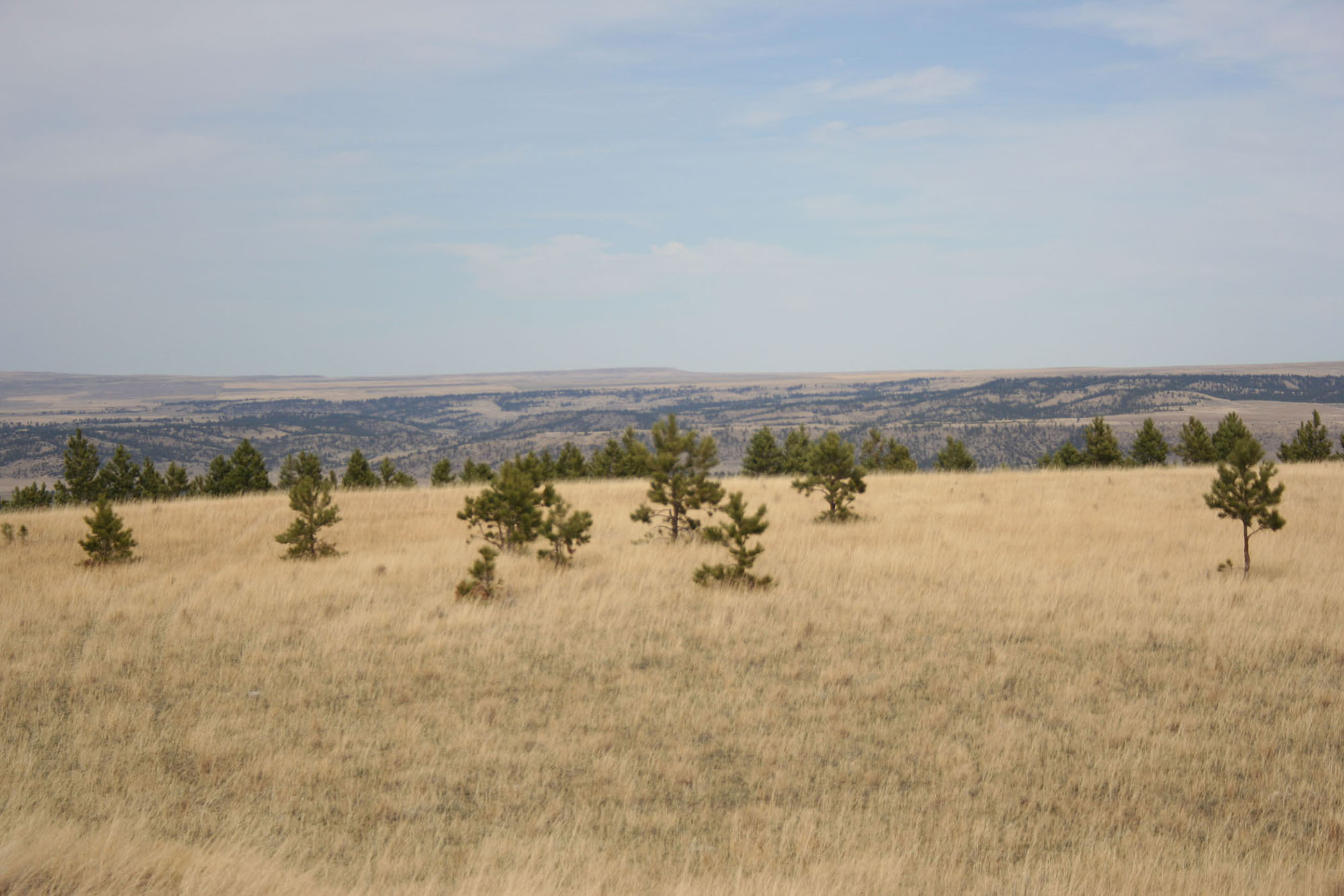 Shane Ridge Preserve property picture 43 of 59