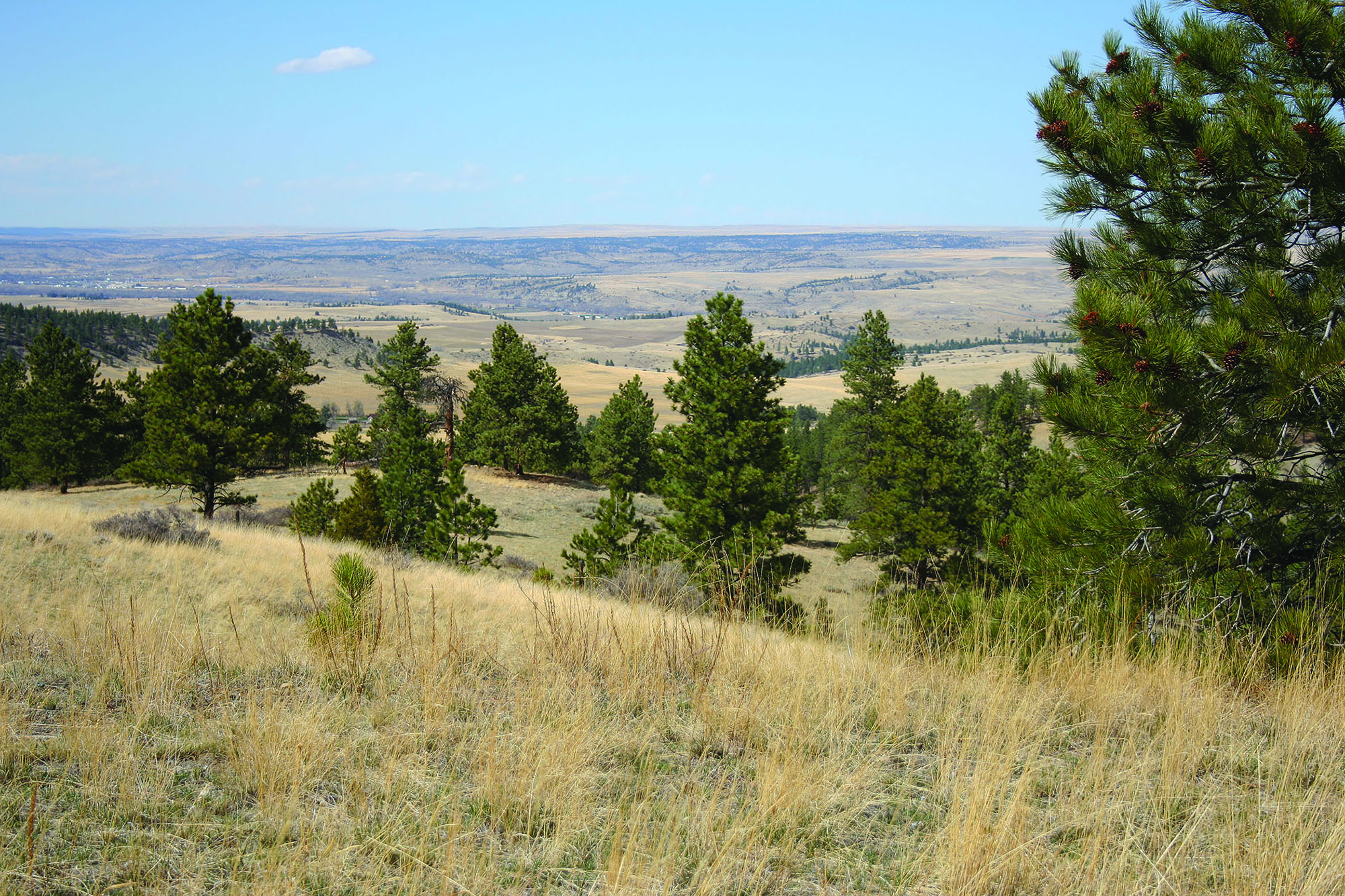 Shane Ridge Preserve property picture 40 of 59