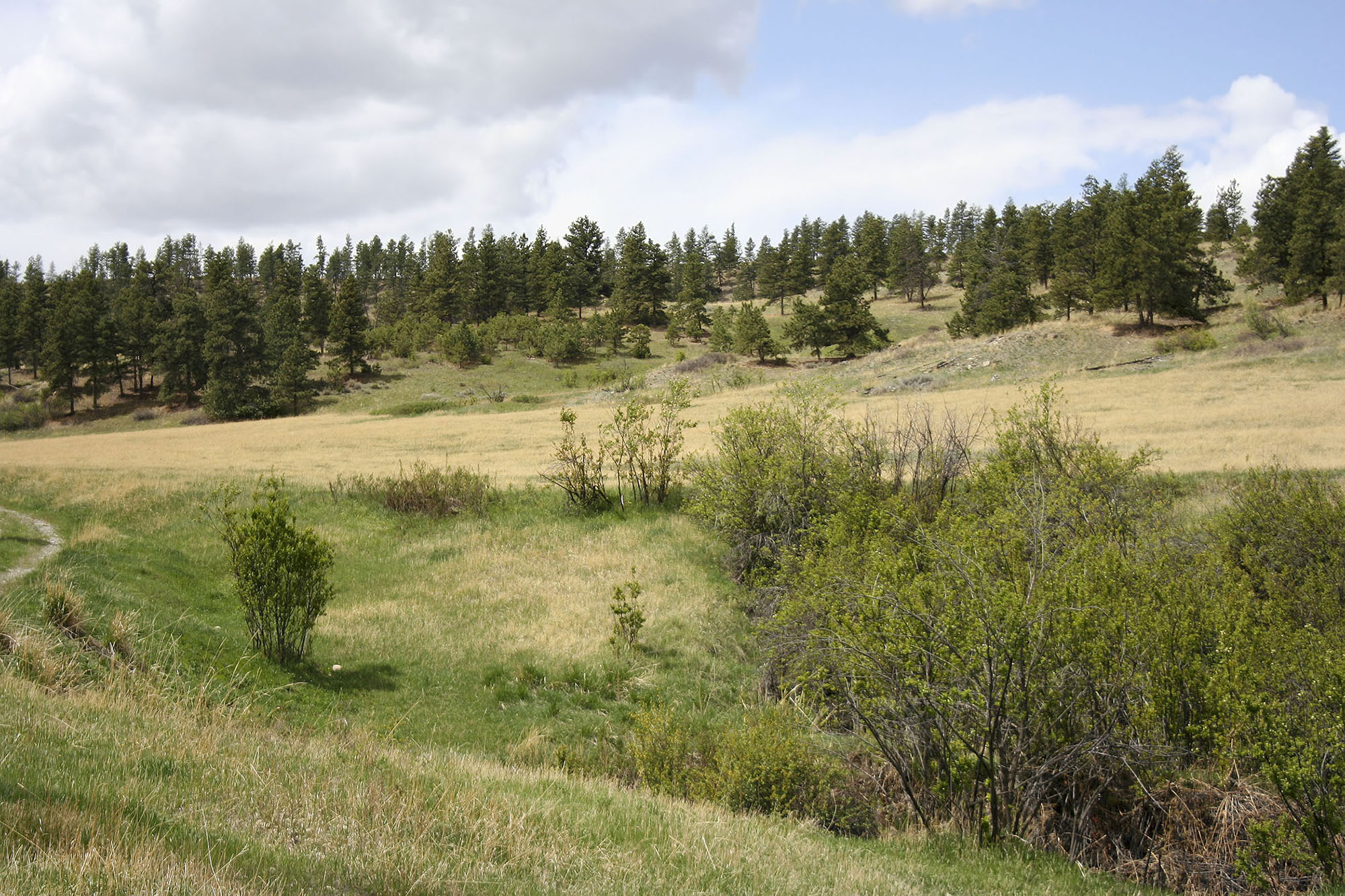 Shane Ridge Preserve property picture 36 of 59
