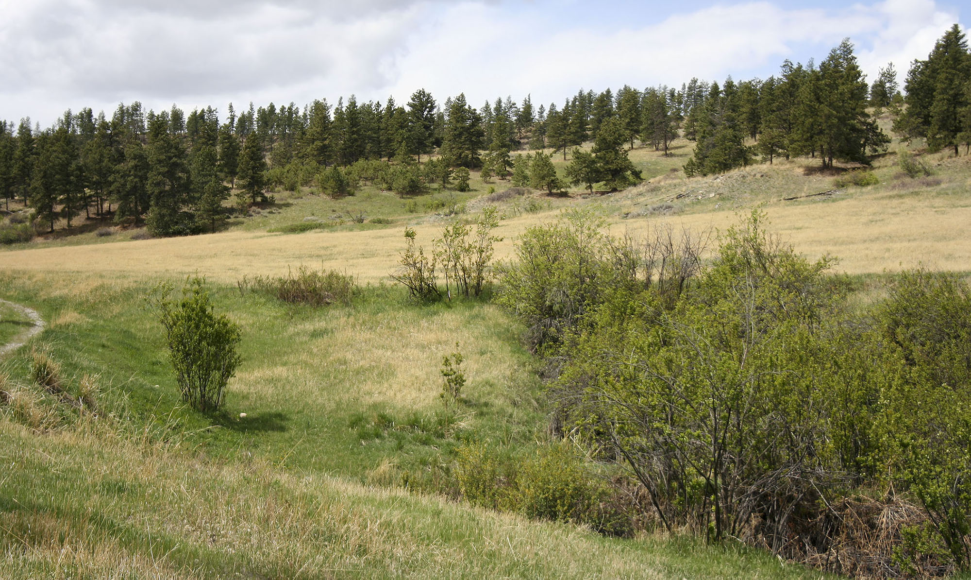 Shane Ridge Preserve property picture 35 of 59