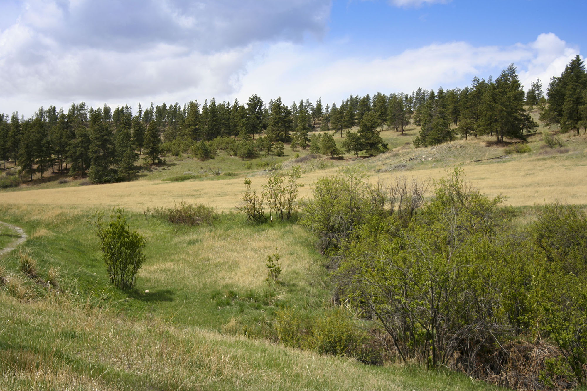 Shane Ridge Preserve property picture 34 of 59