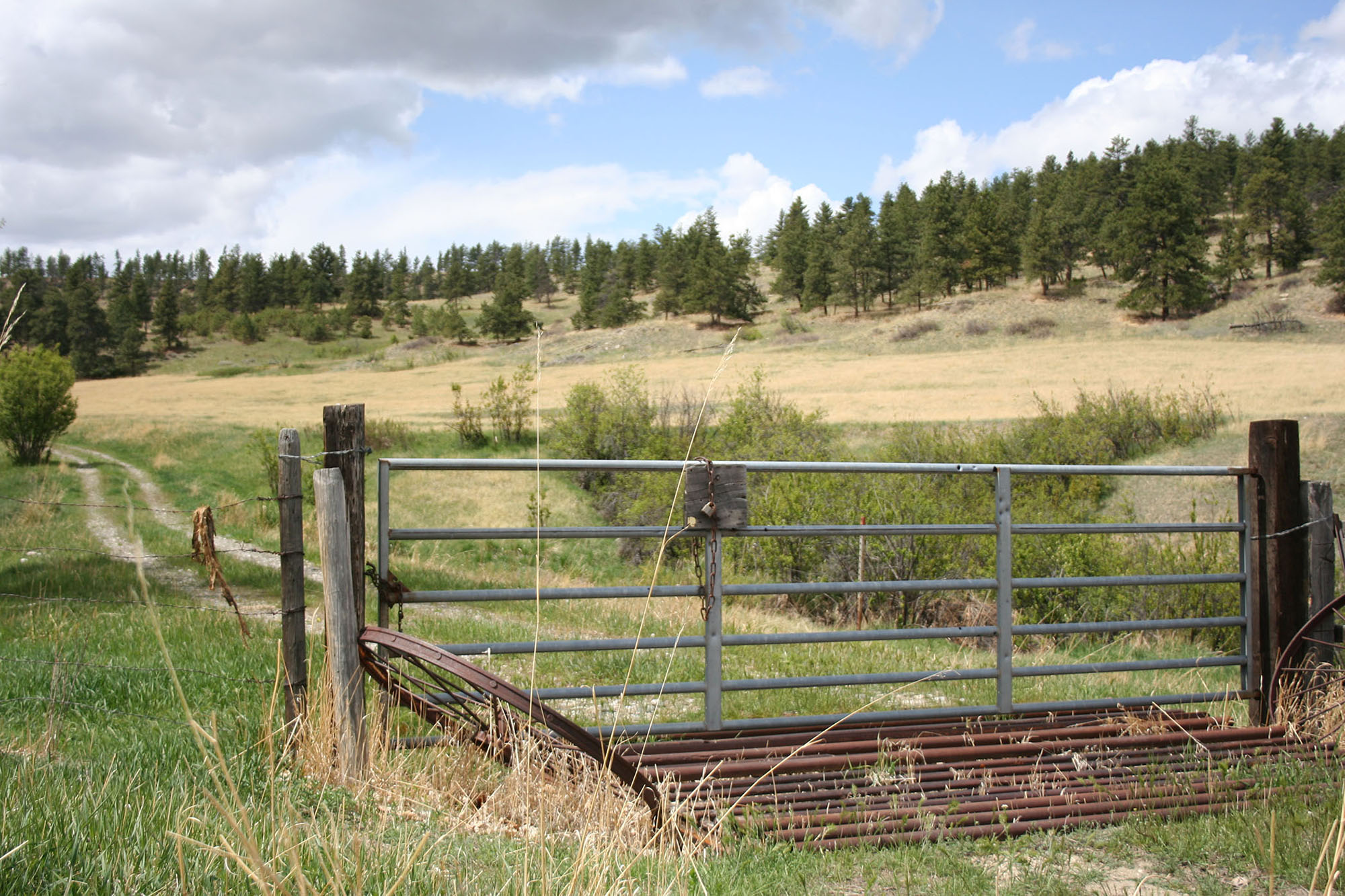 Shane Ridge Preserve property picture 33 of 59