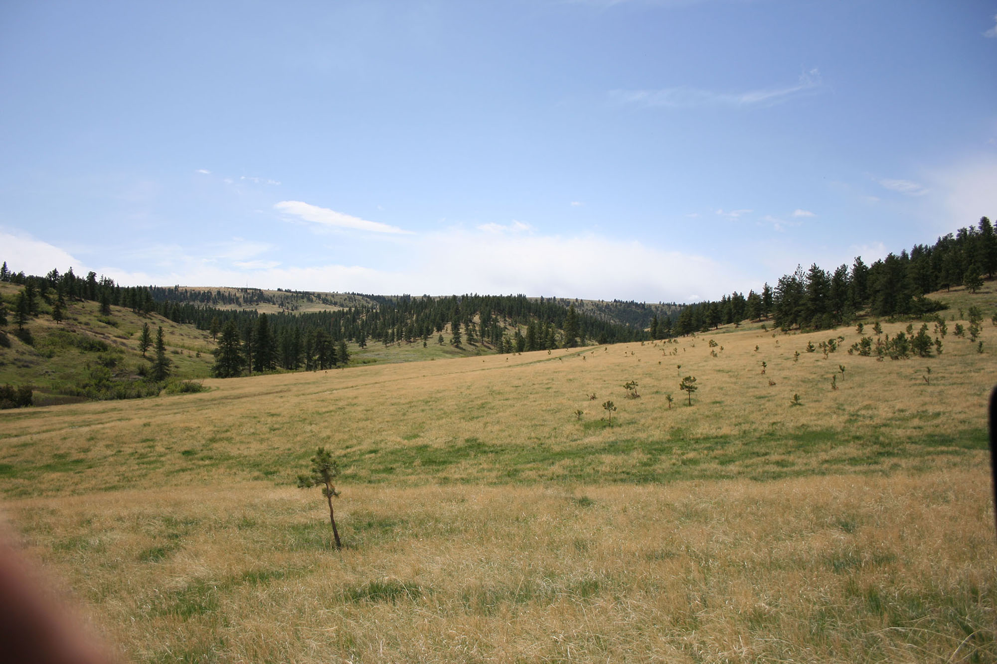 Shane Ridge Preserve property picture 29 of 59