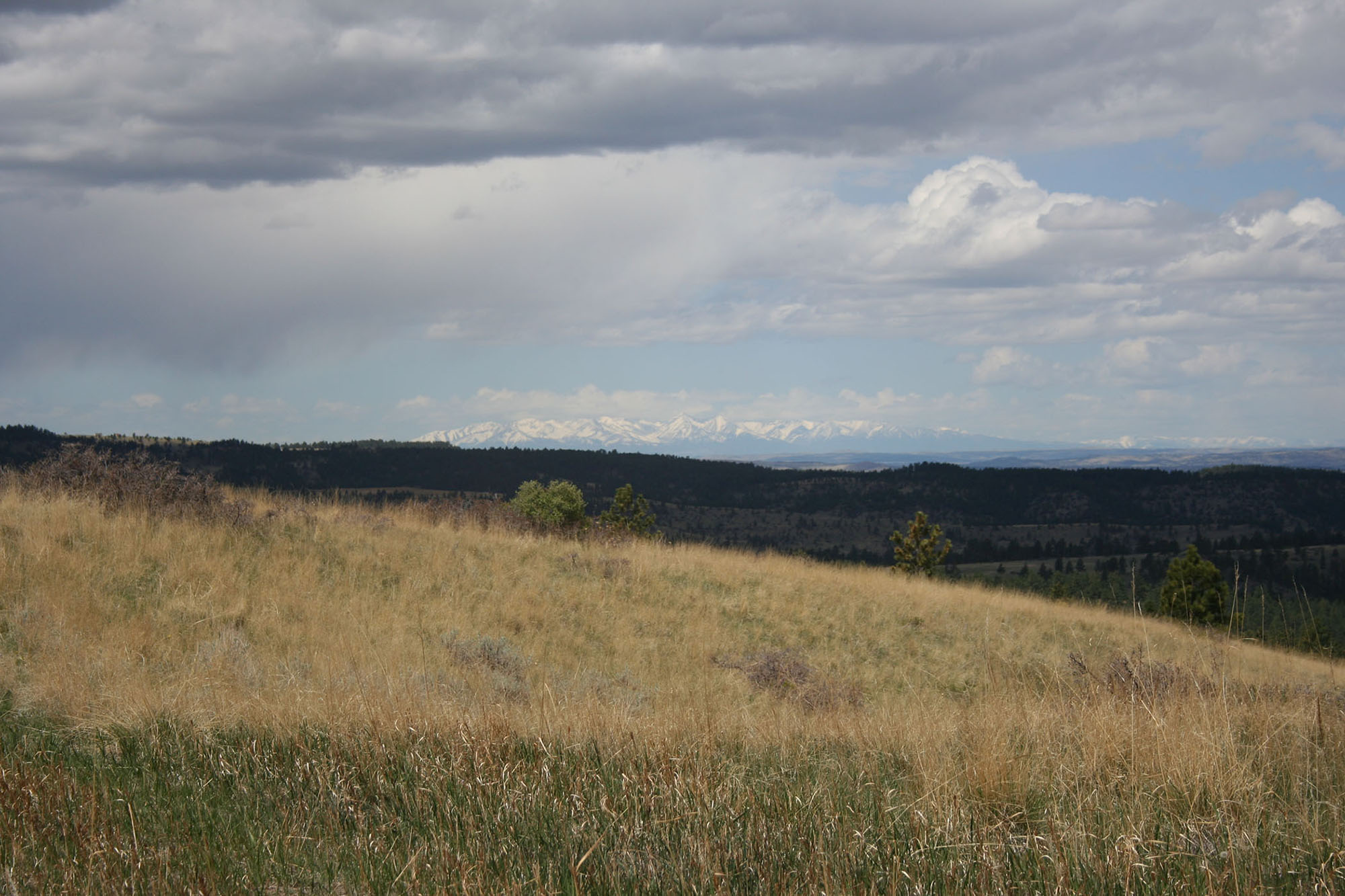 Shane Ridge Preserve property picture 25 of 59