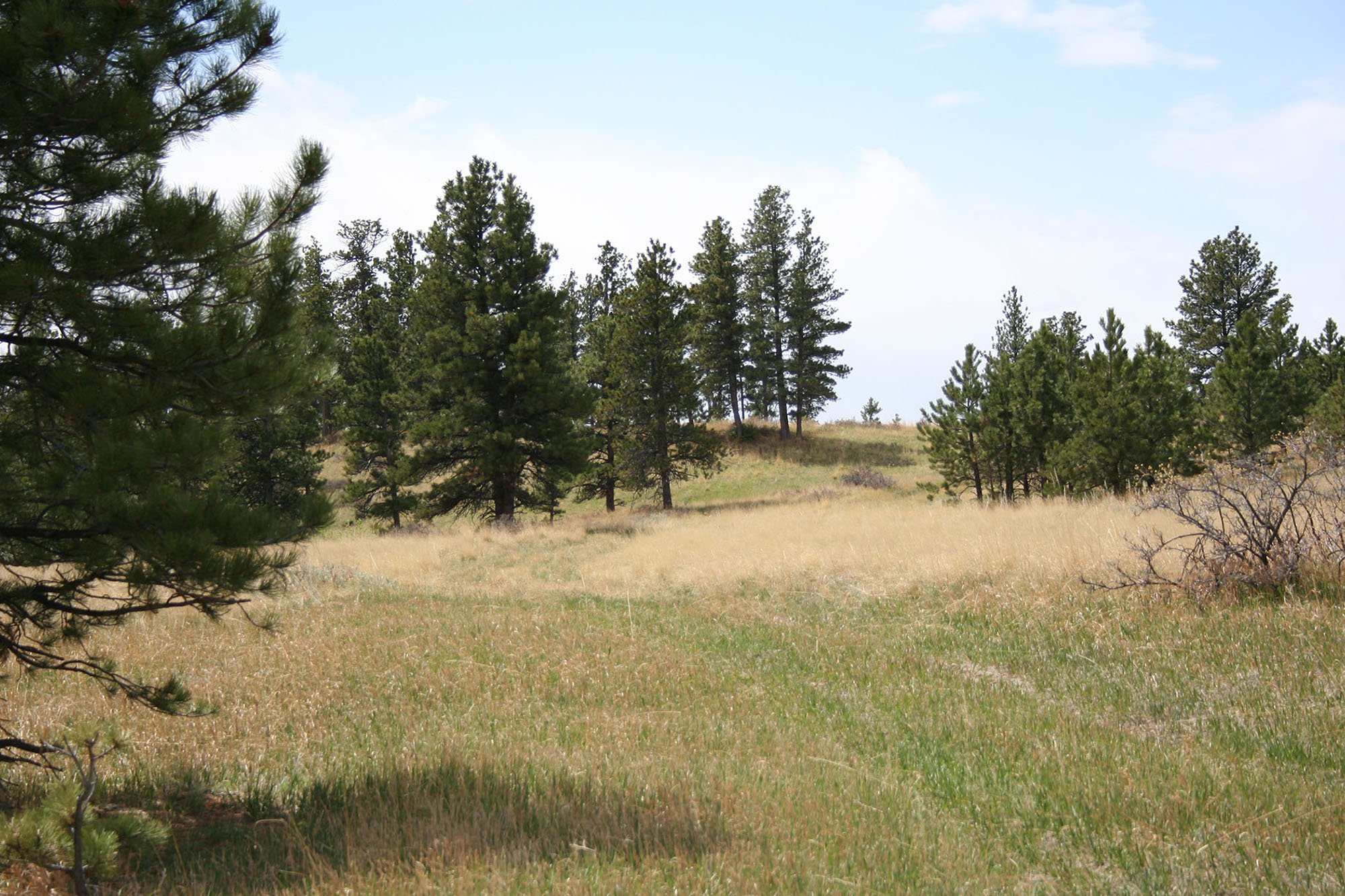 Shane Ridge Preserve property picture 24 of 59