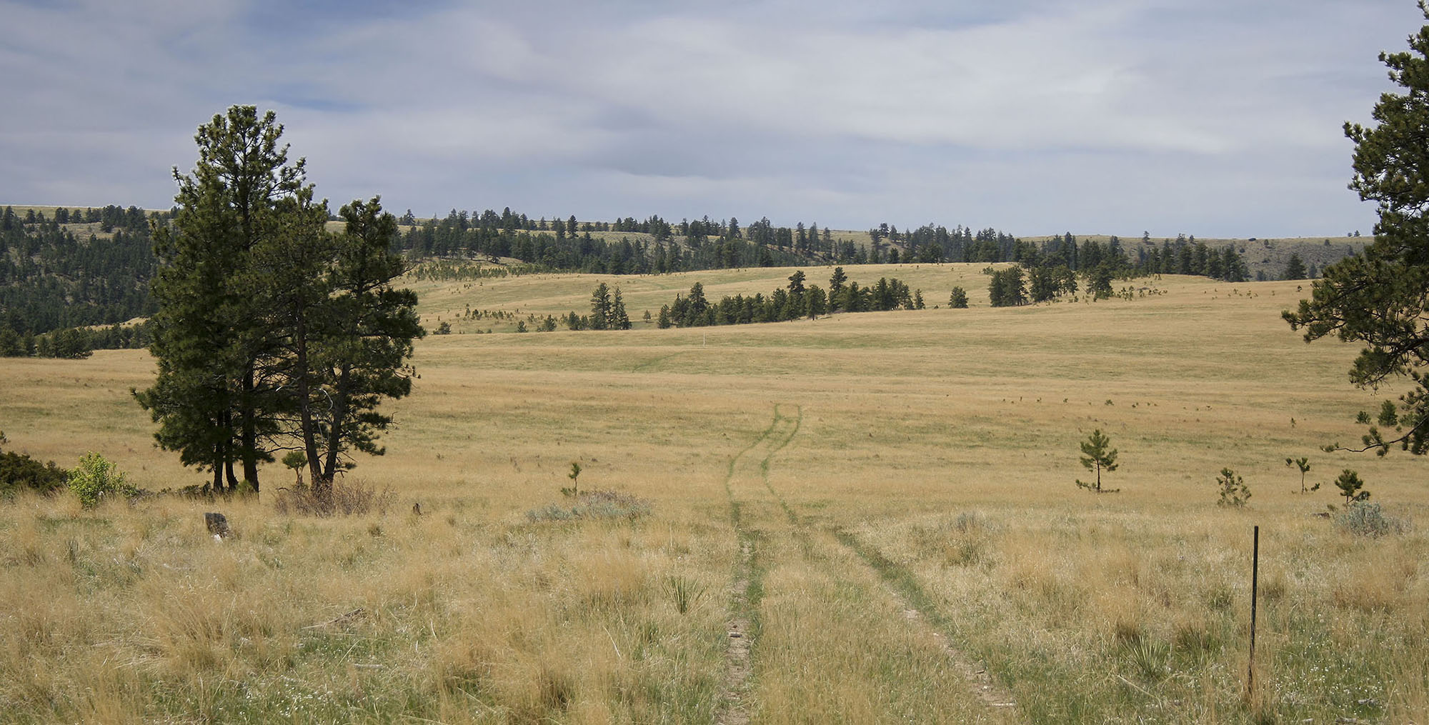Shane Ridge Preserve property picture 23 of 59