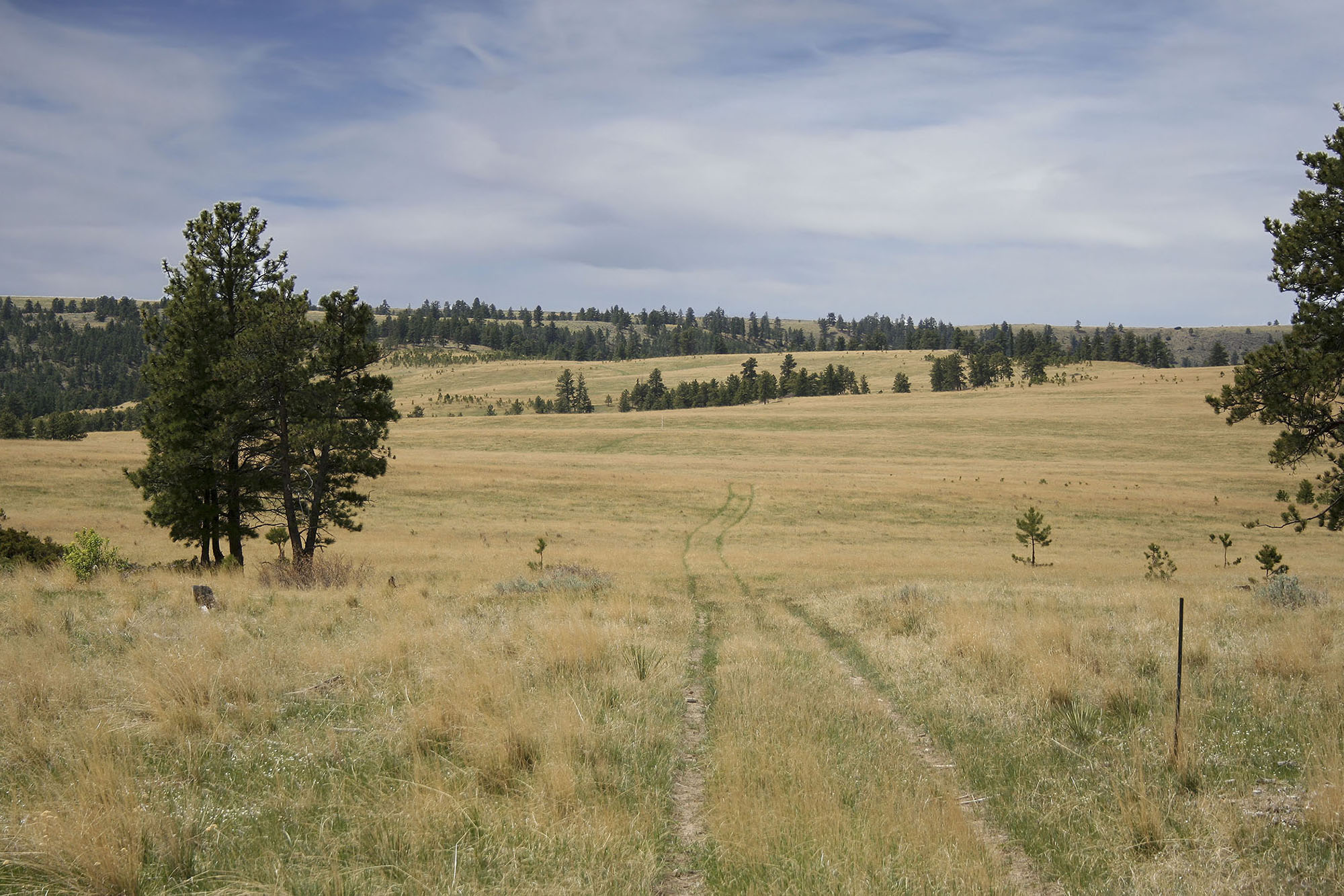 Shane Ridge Preserve property picture 22 of 59