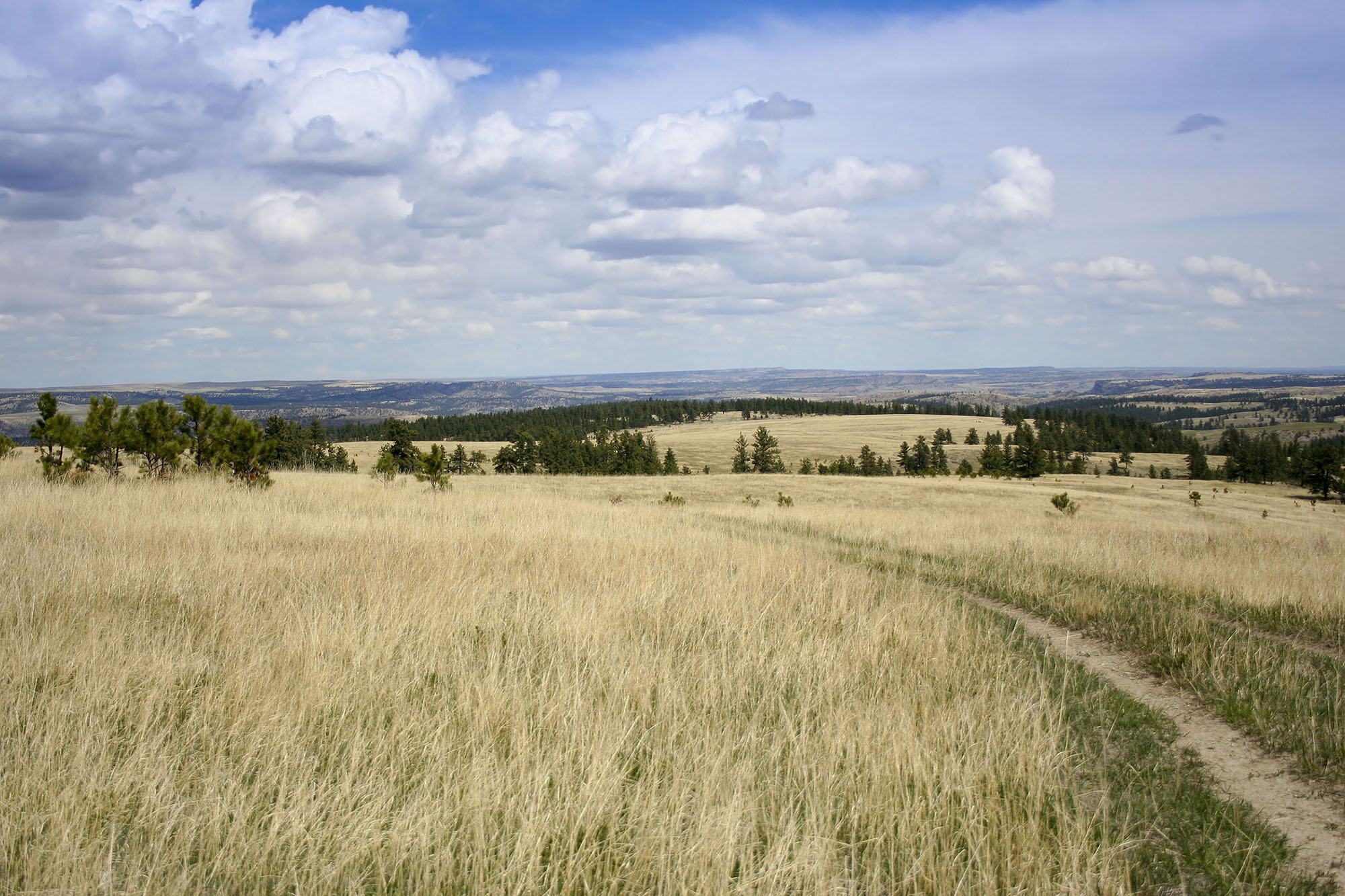 Shane Ridge Preserve property picture 20 of 59