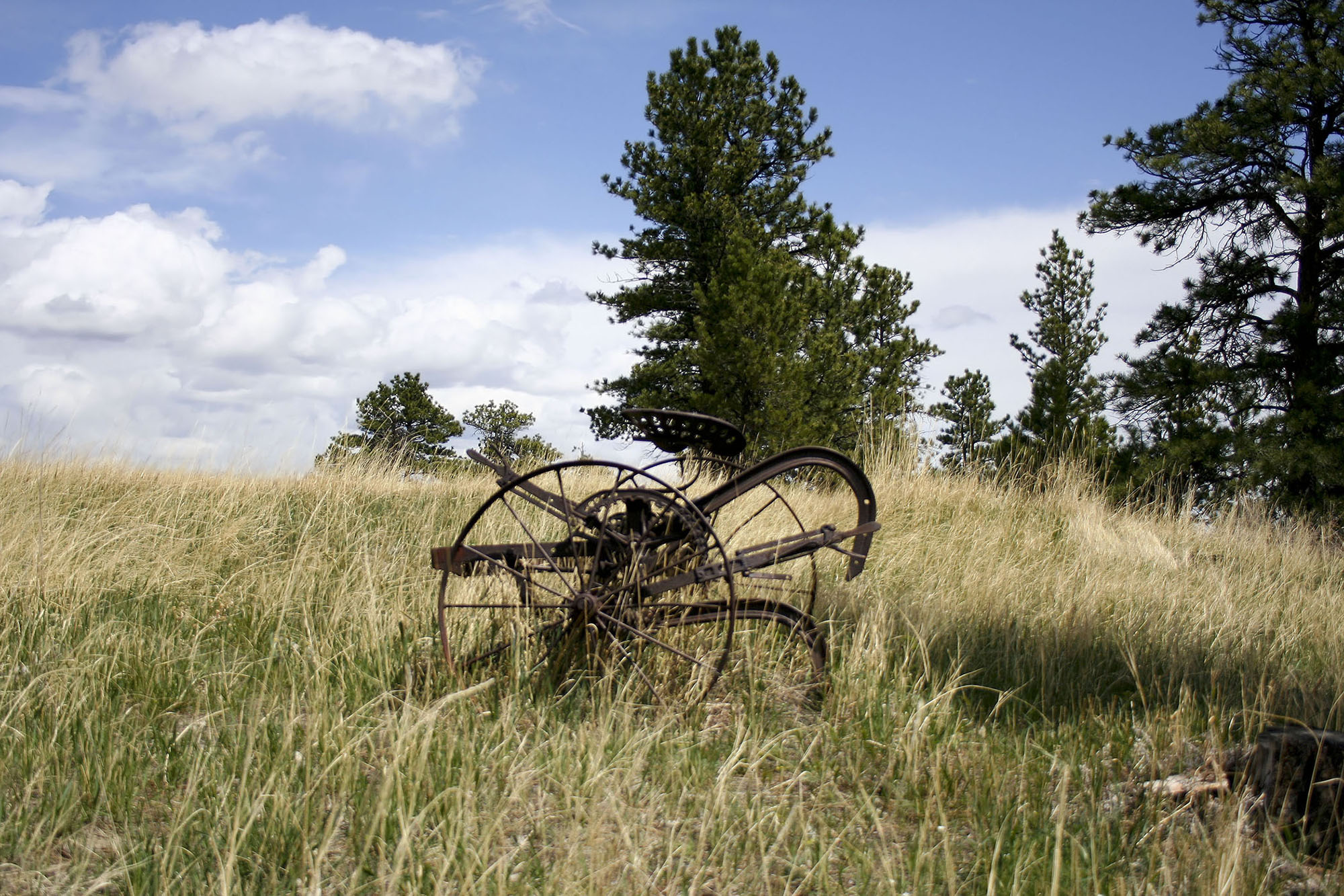 Shane Ridge Preserve property picture 19 of 59