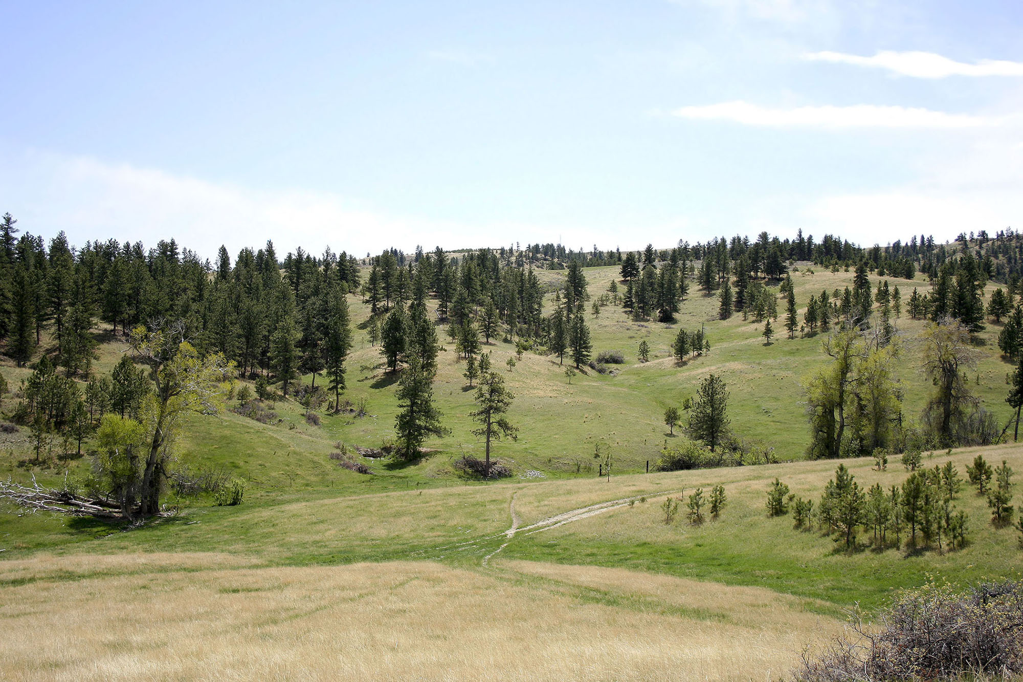 Shane Ridge Preserve property picture 15 of 59