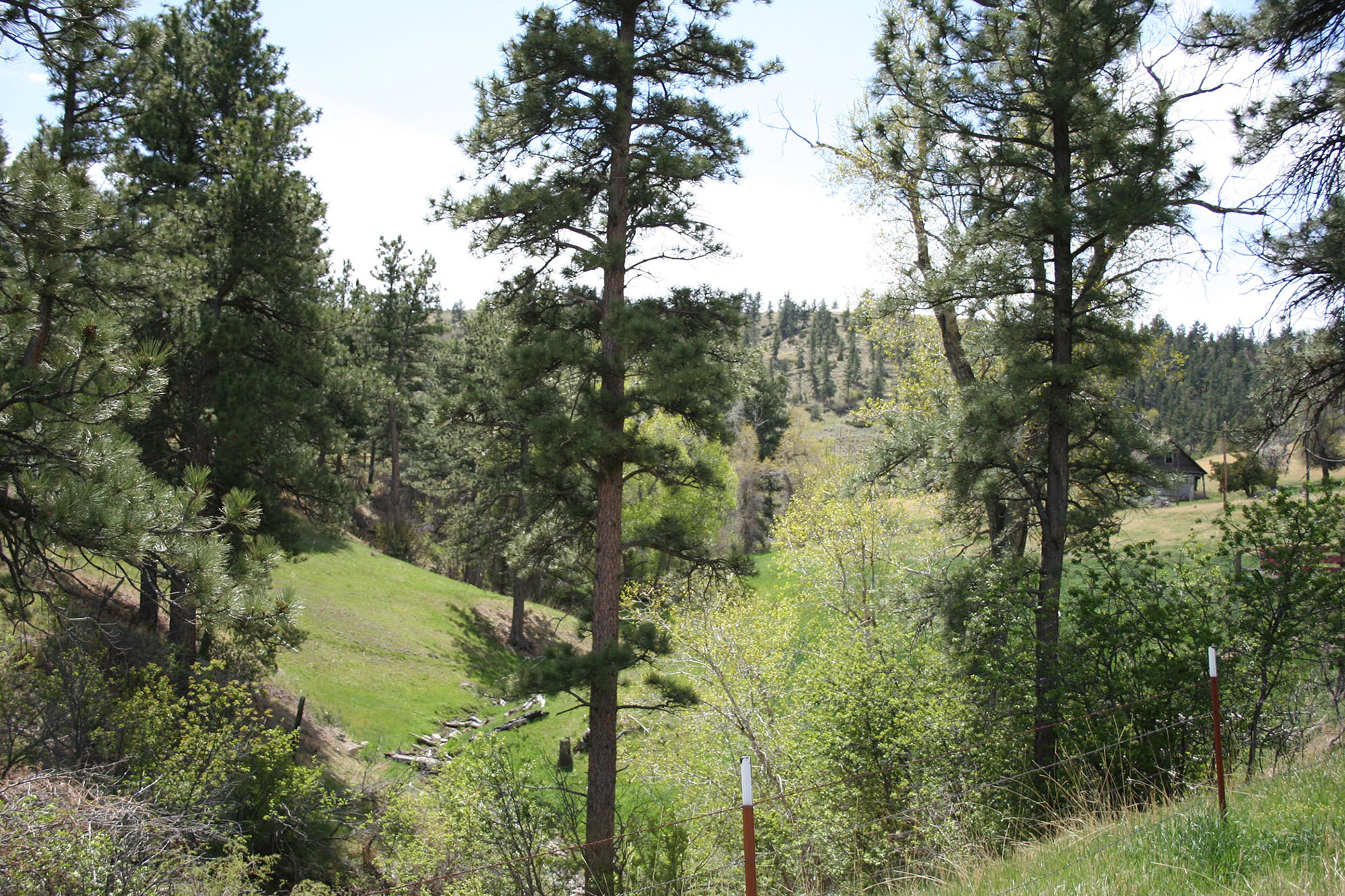 Shane Ridge Preserve property picture 14 of 59