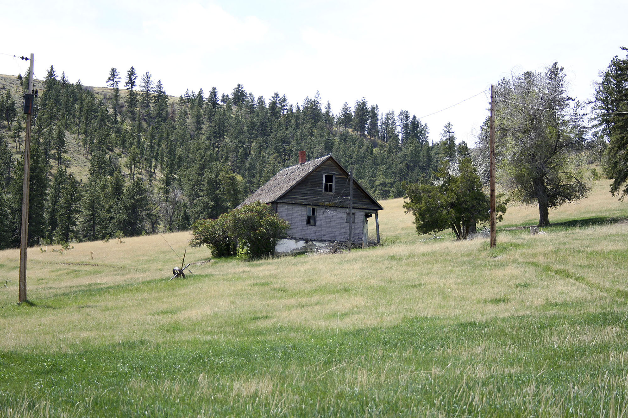 Shane Ridge Preserve property picture 11 of 59
