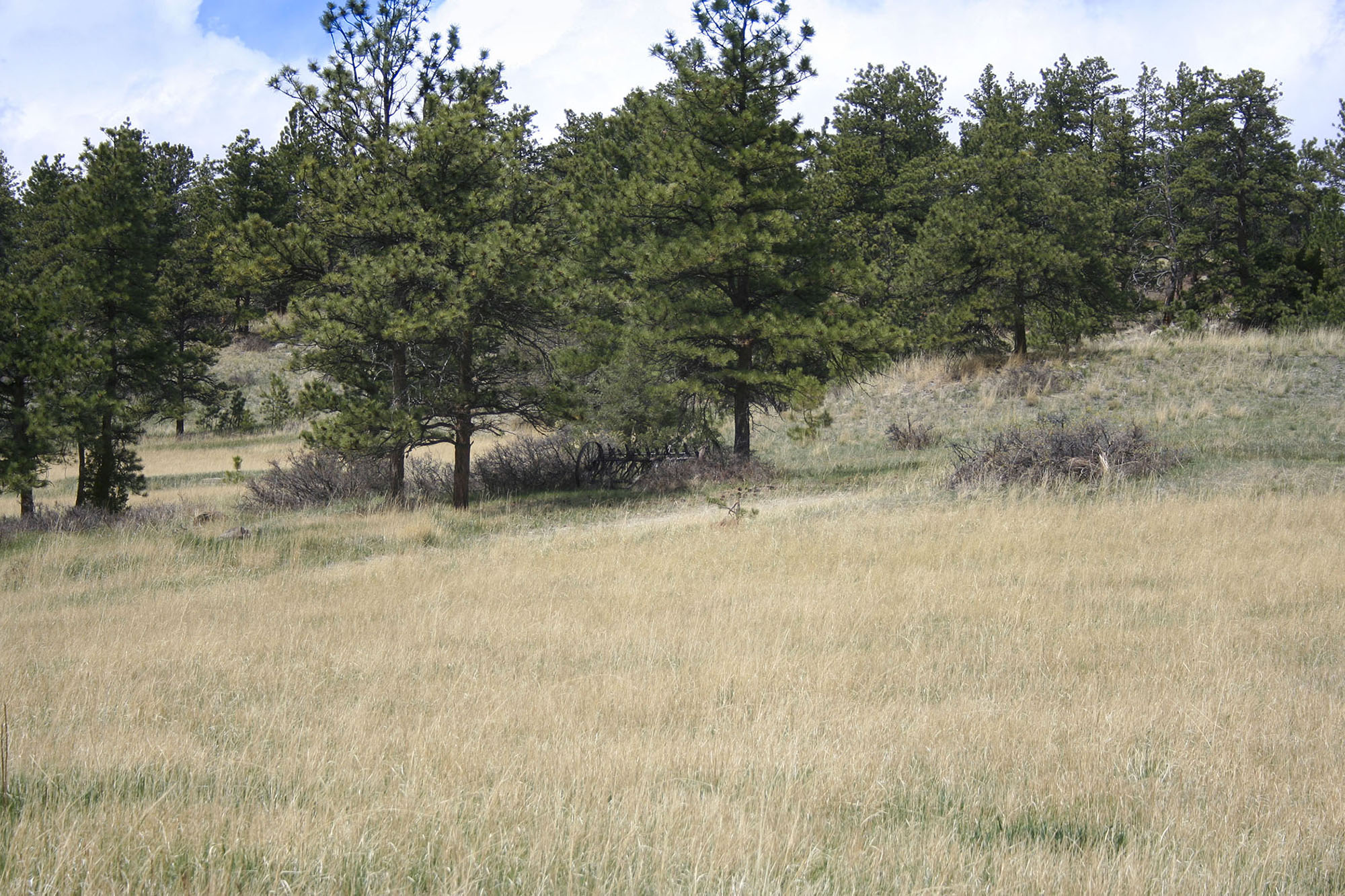 Shane Ridge Preserve property picture 4 of 59