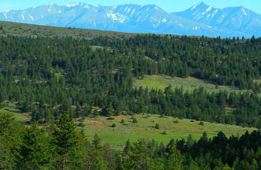 Chimney Rock Ranch property picture 2 of 2