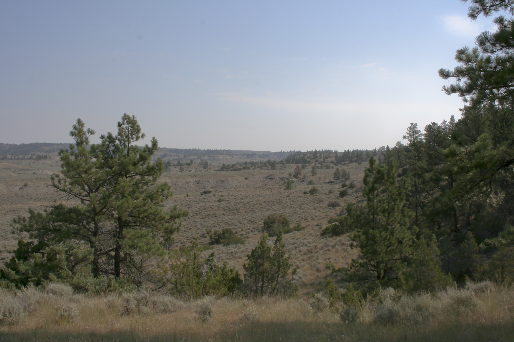 Silver Sage Ranch property picture 2 of 10